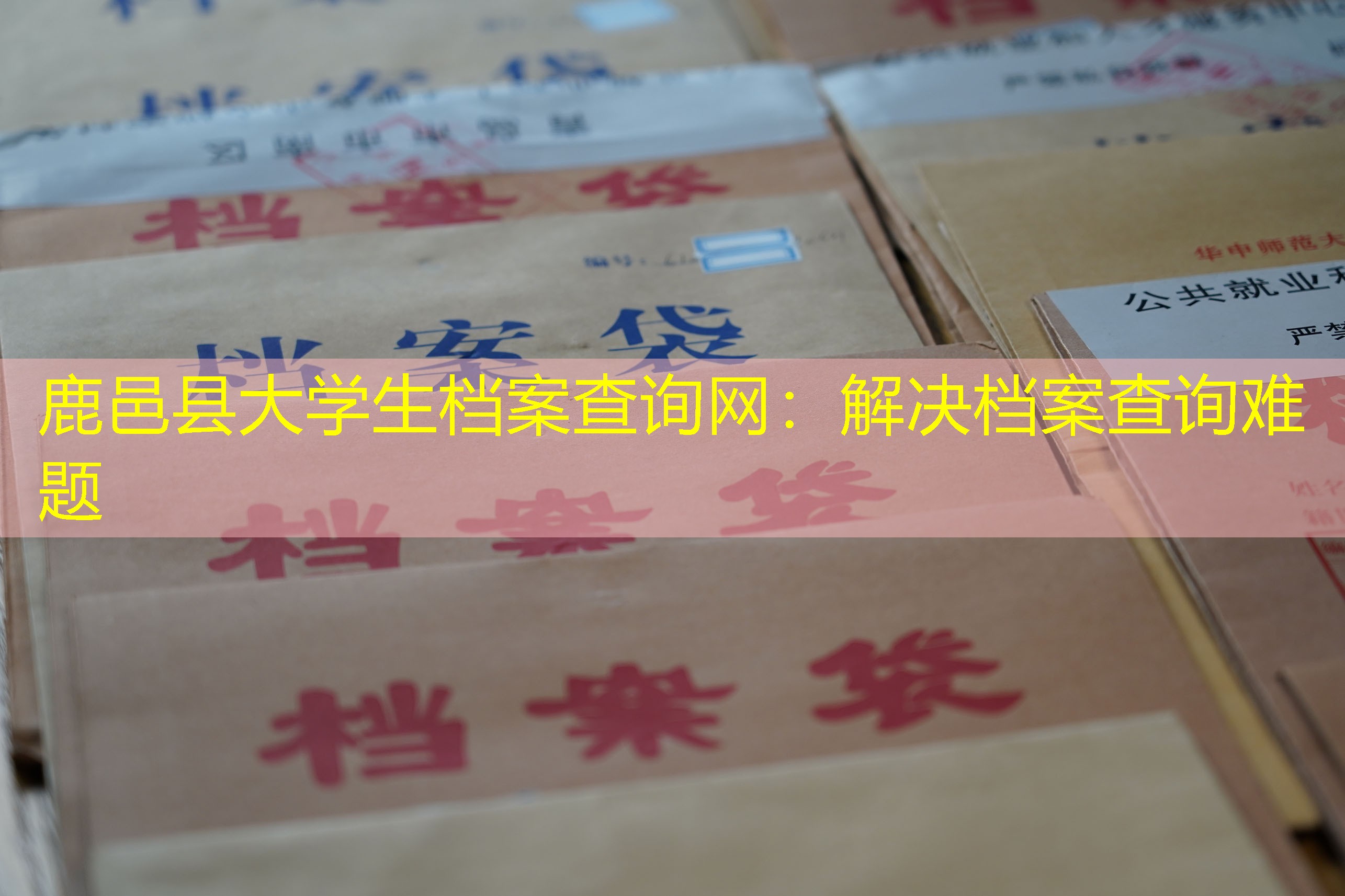 档案查询