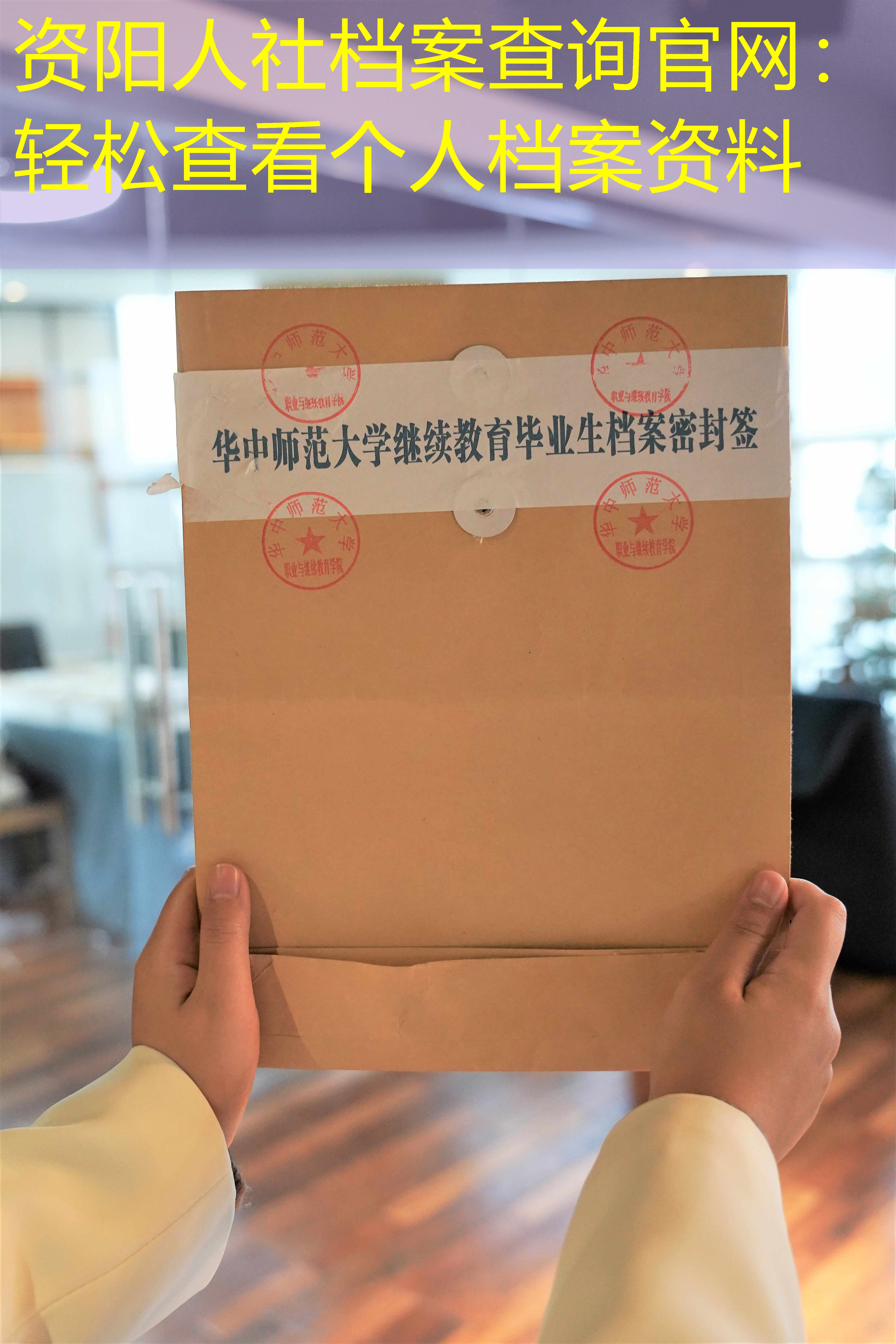 档案查询