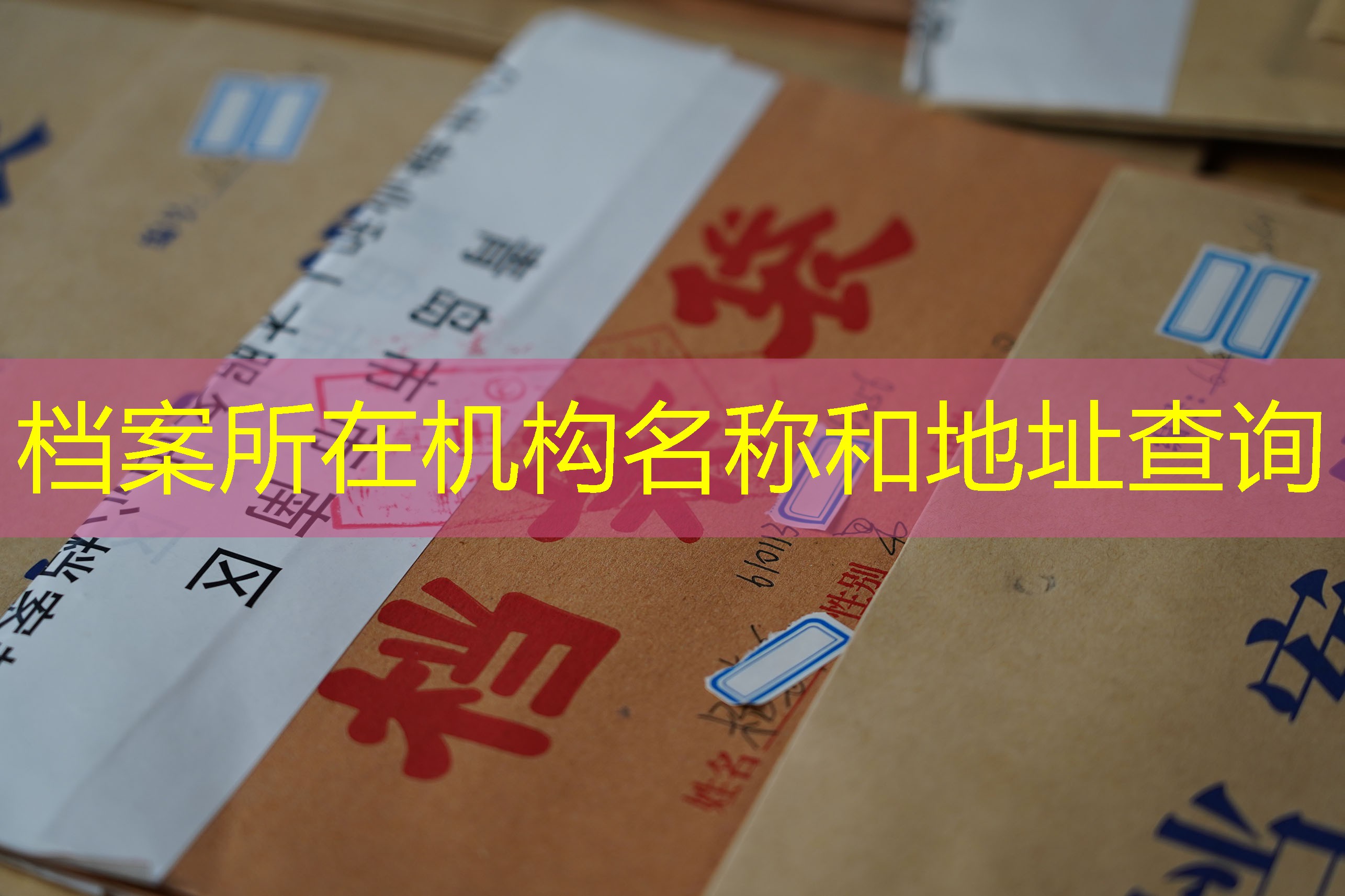 档案查询
