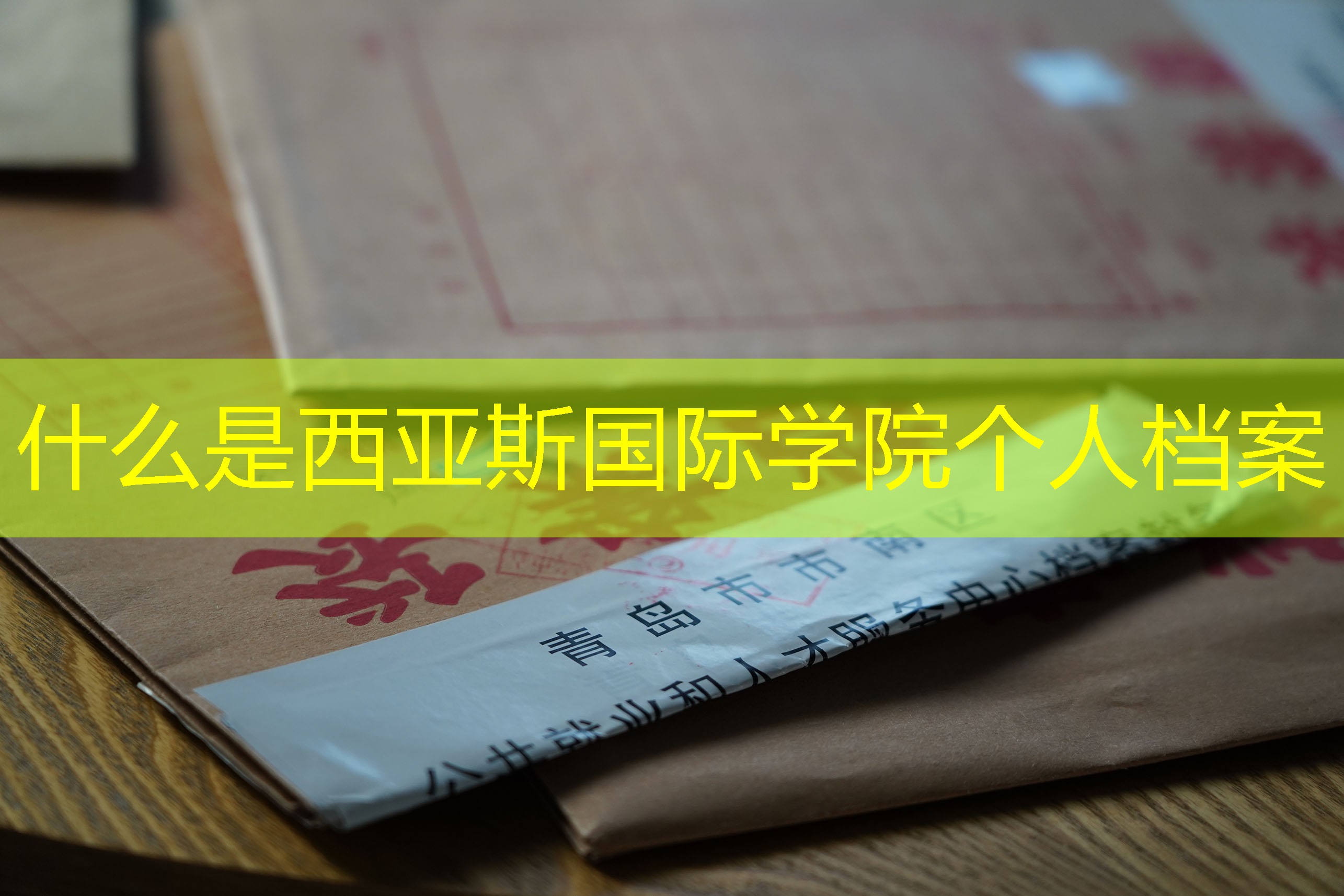 档案查询