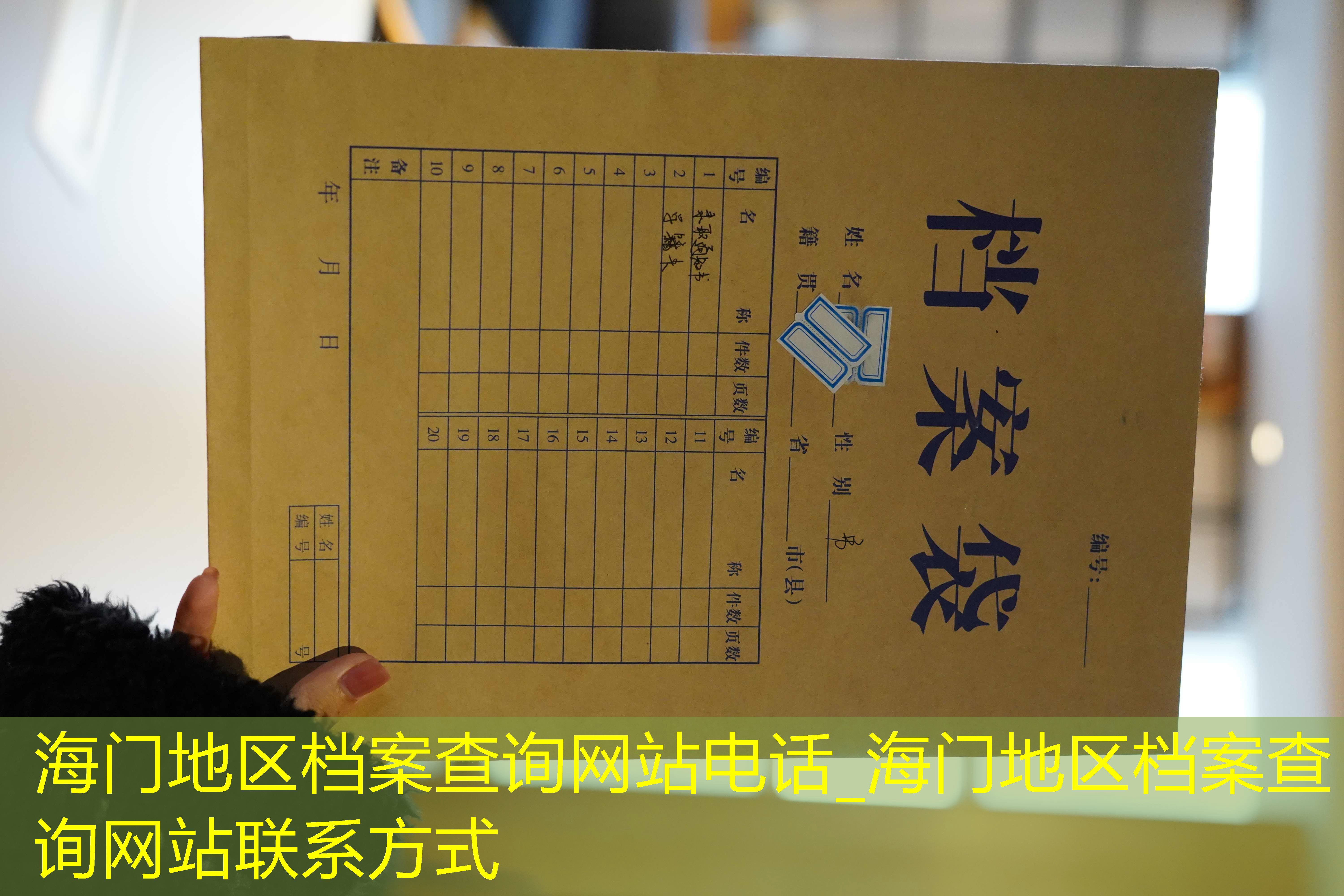 档案查询