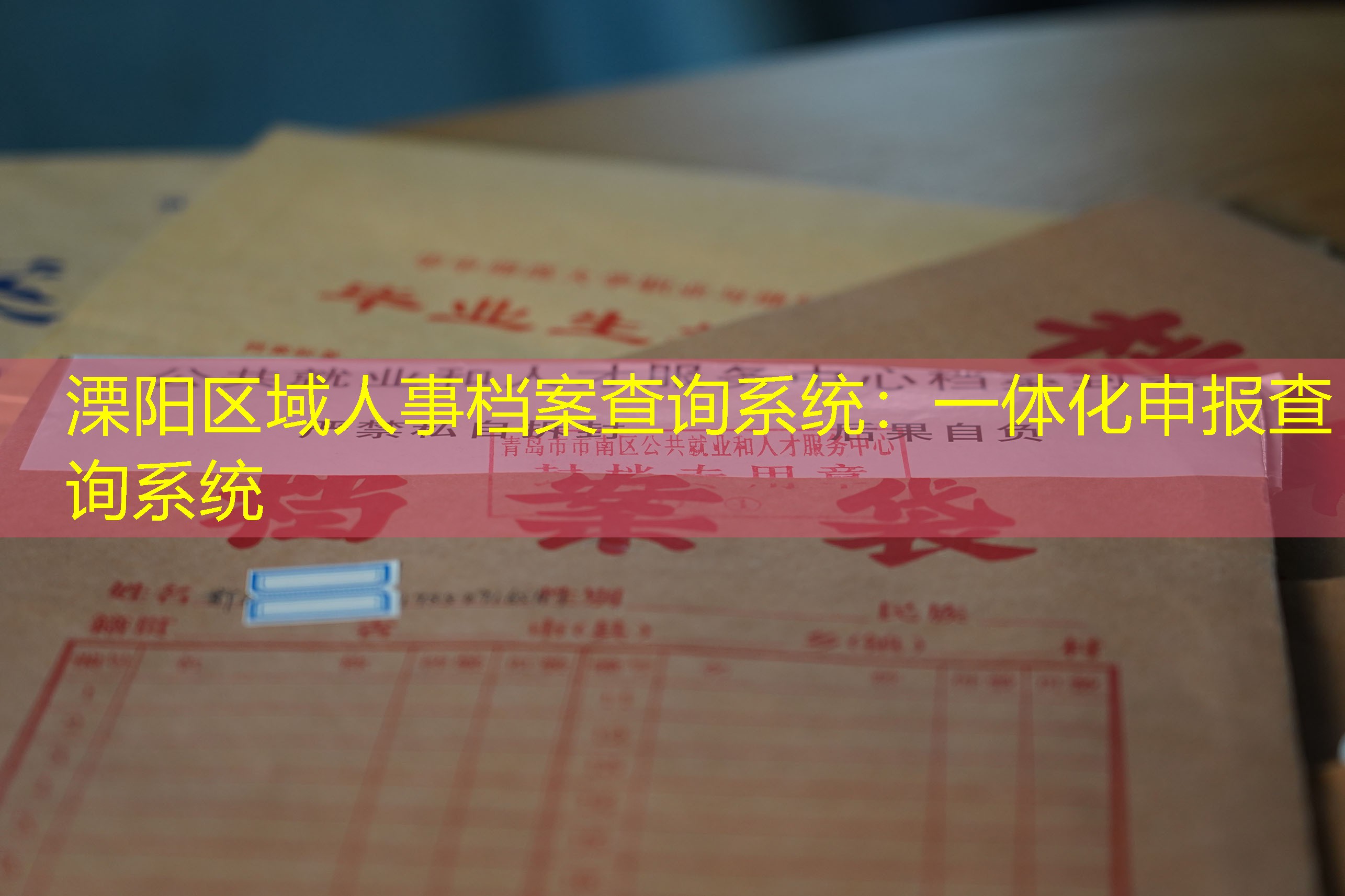 档案查询