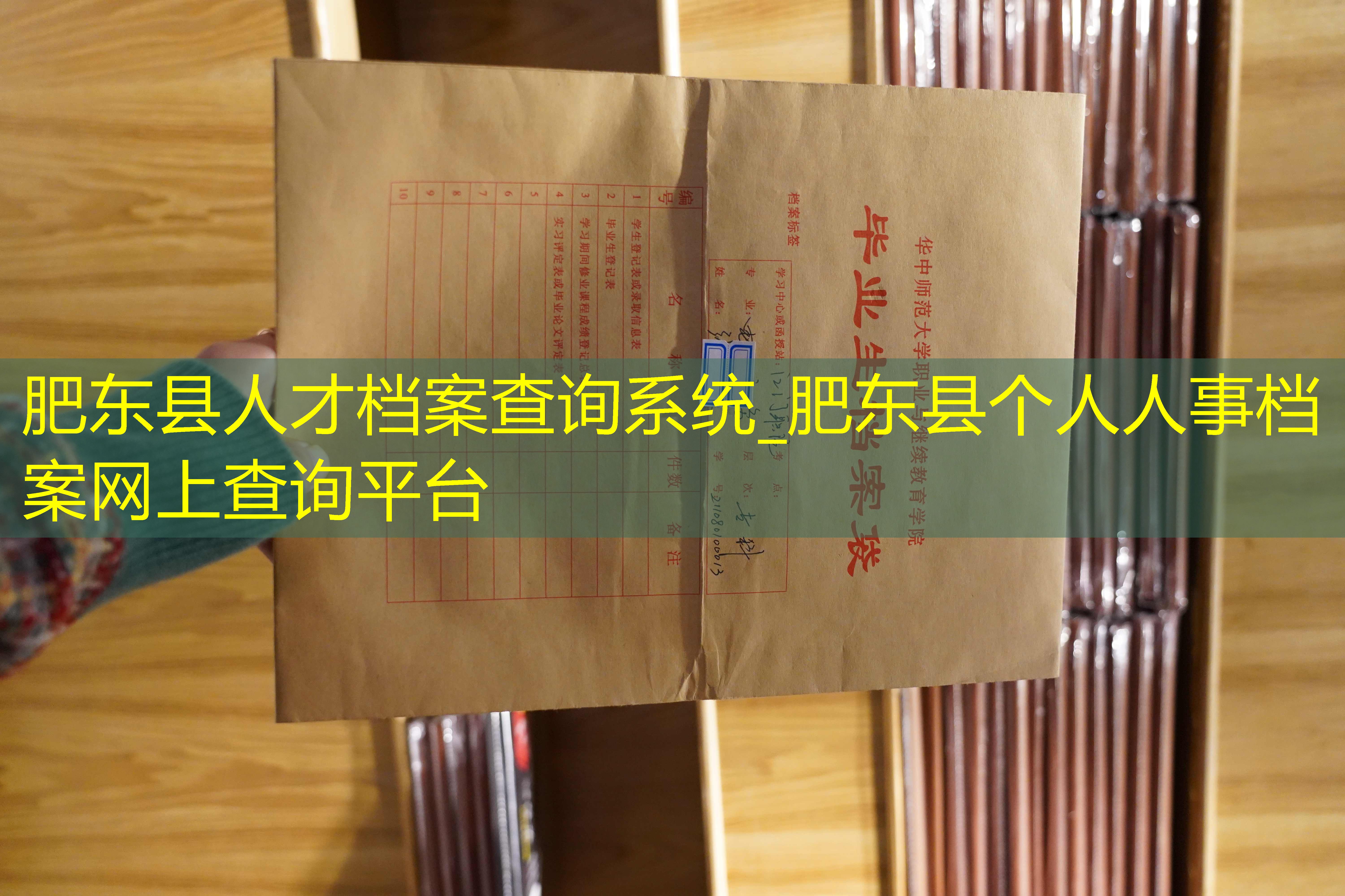 档案查询
