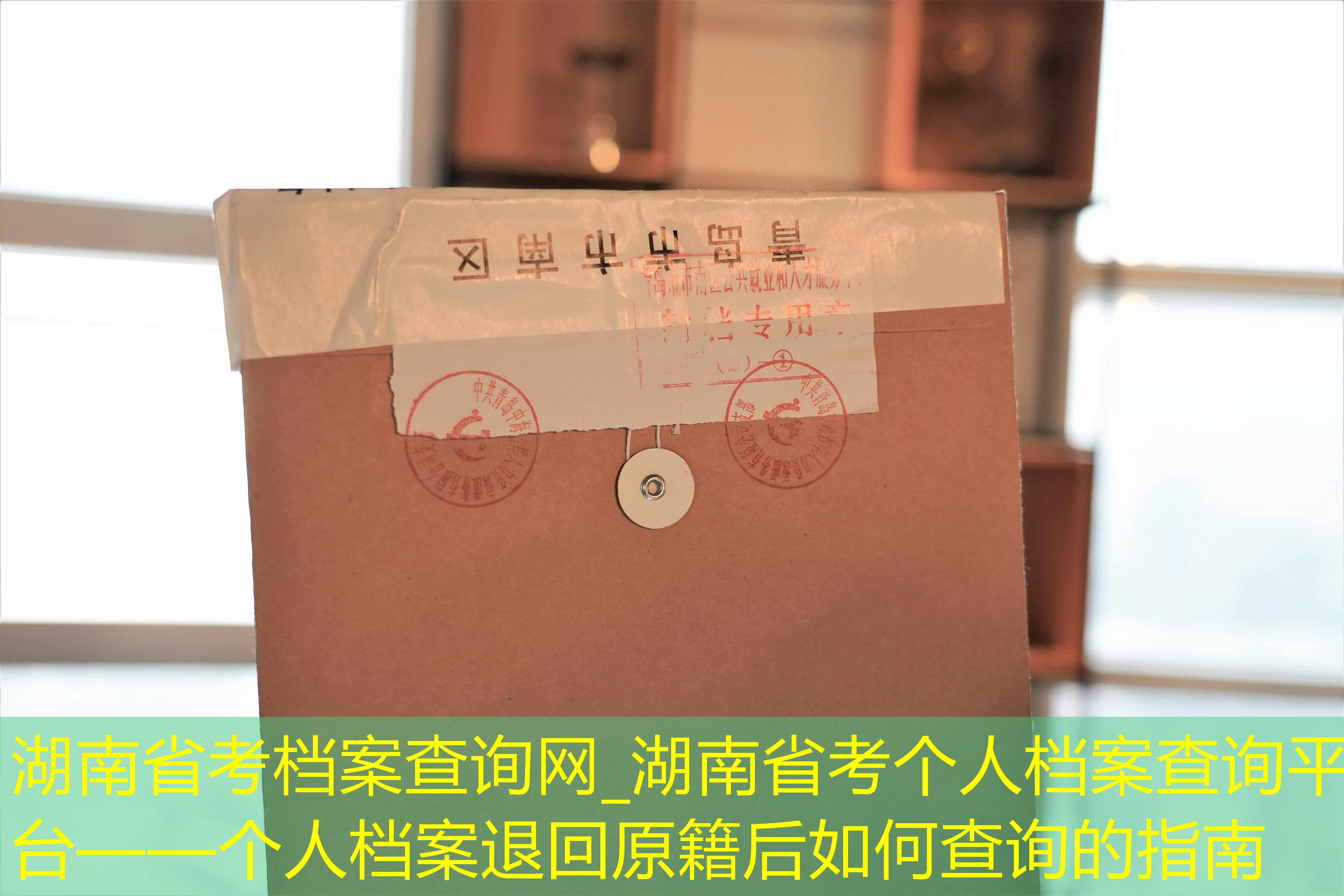 档案查询