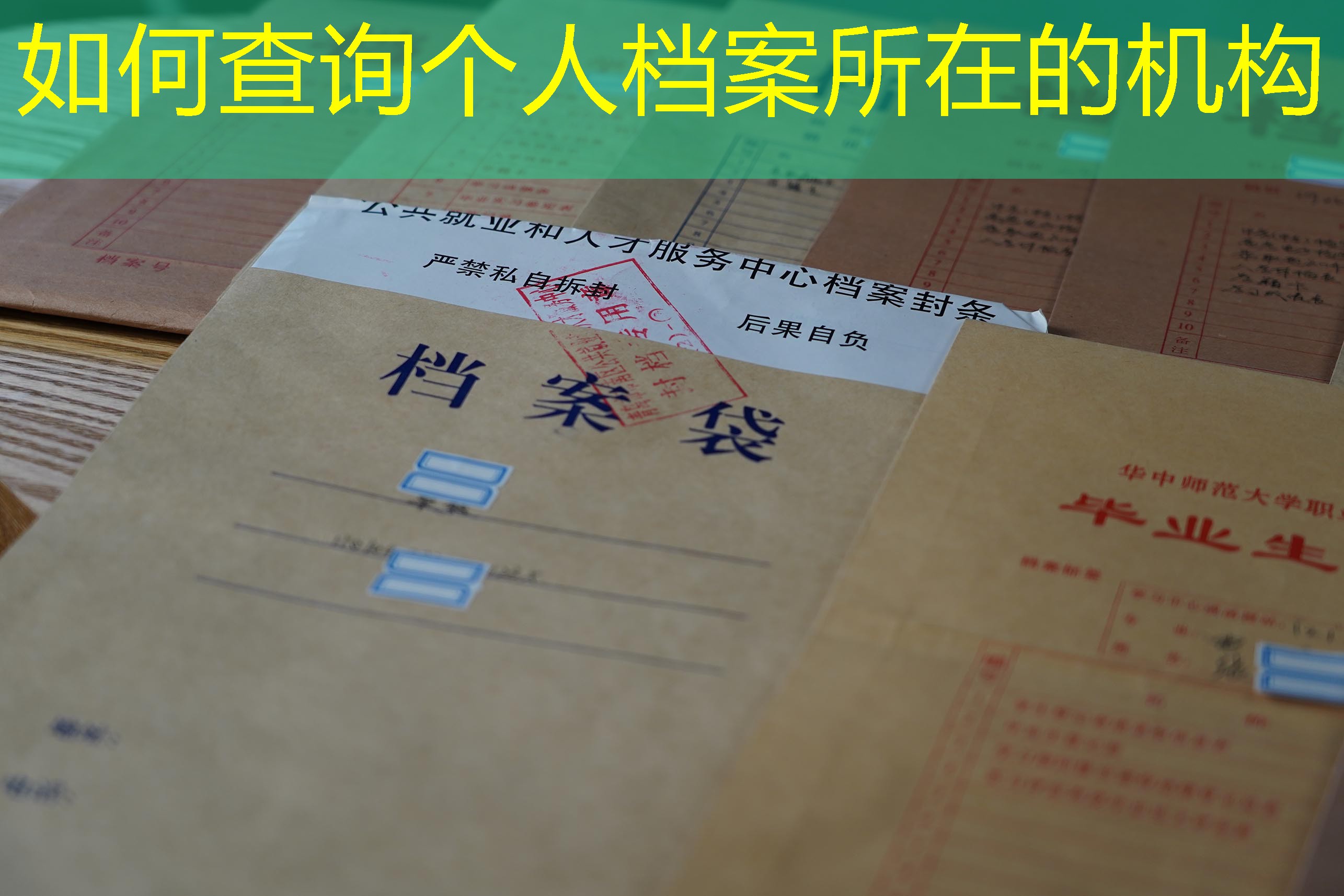 档案查询