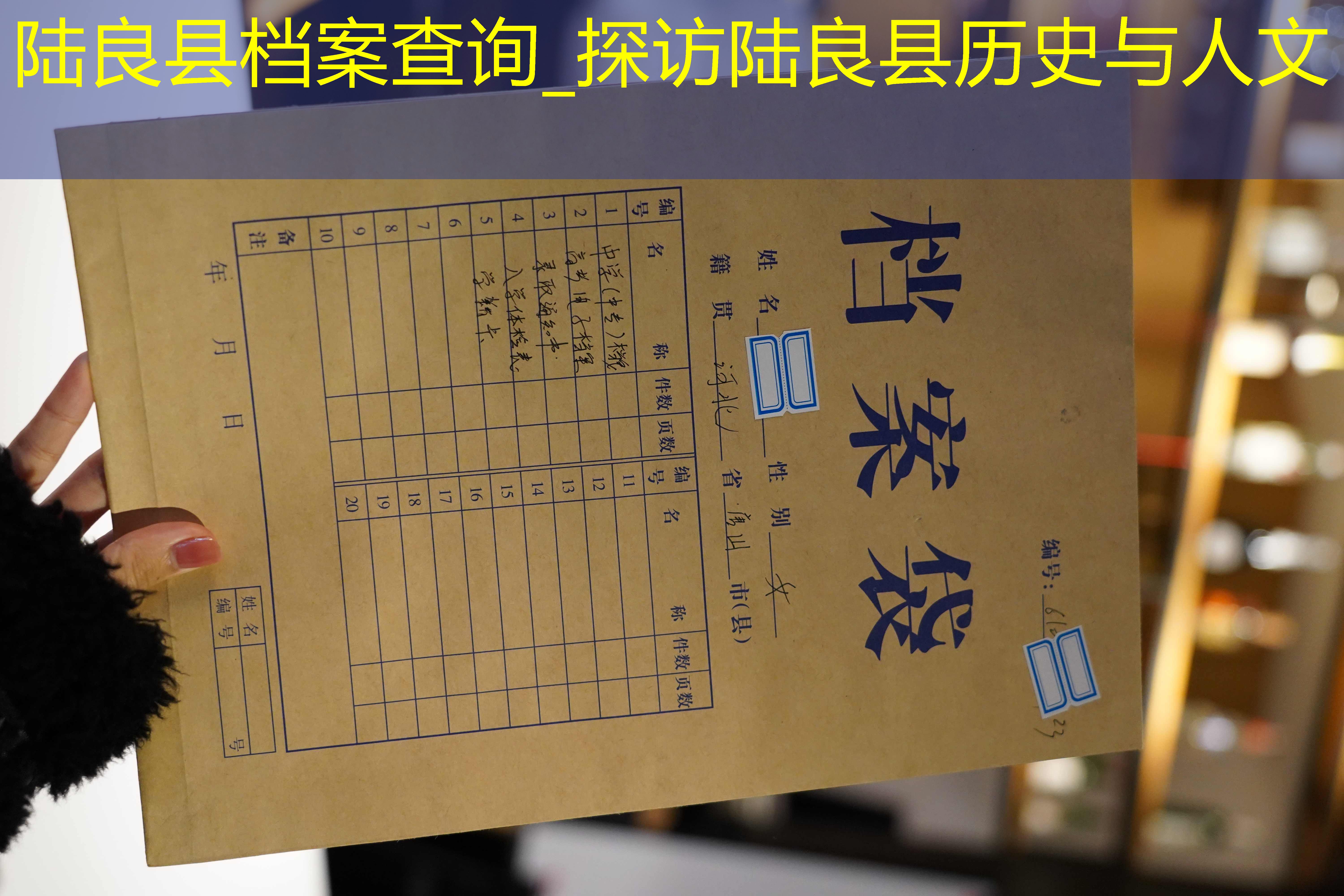 档案查询