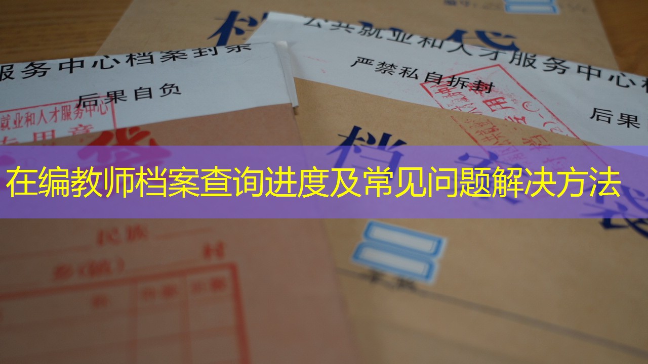 档案查询