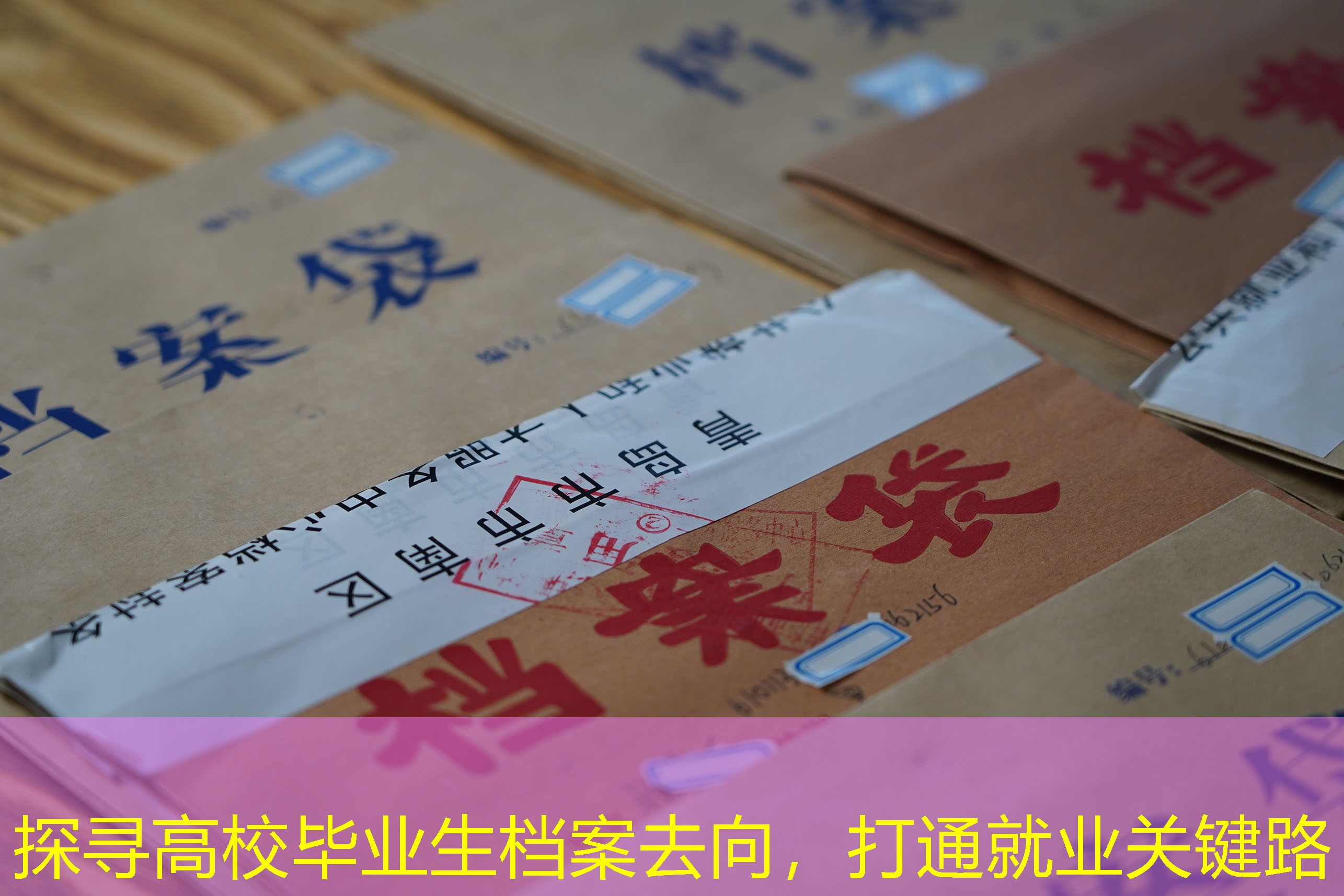 档案查询