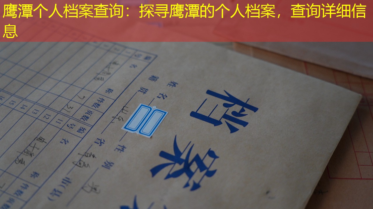 档案查询