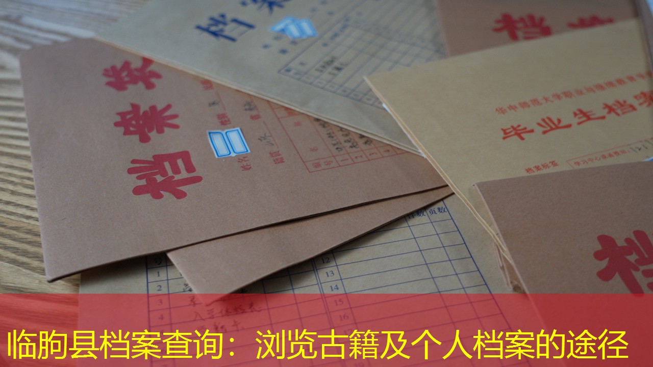 档案查询