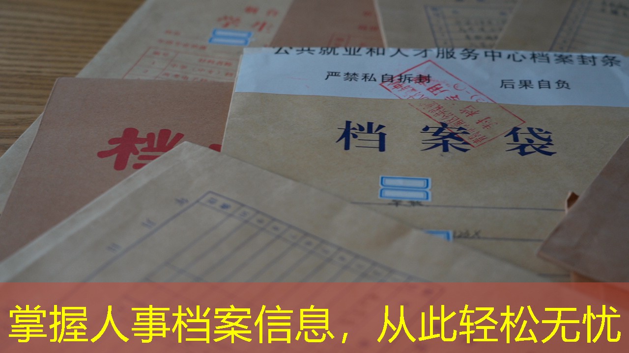 档案查询