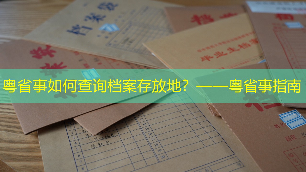 档案查询