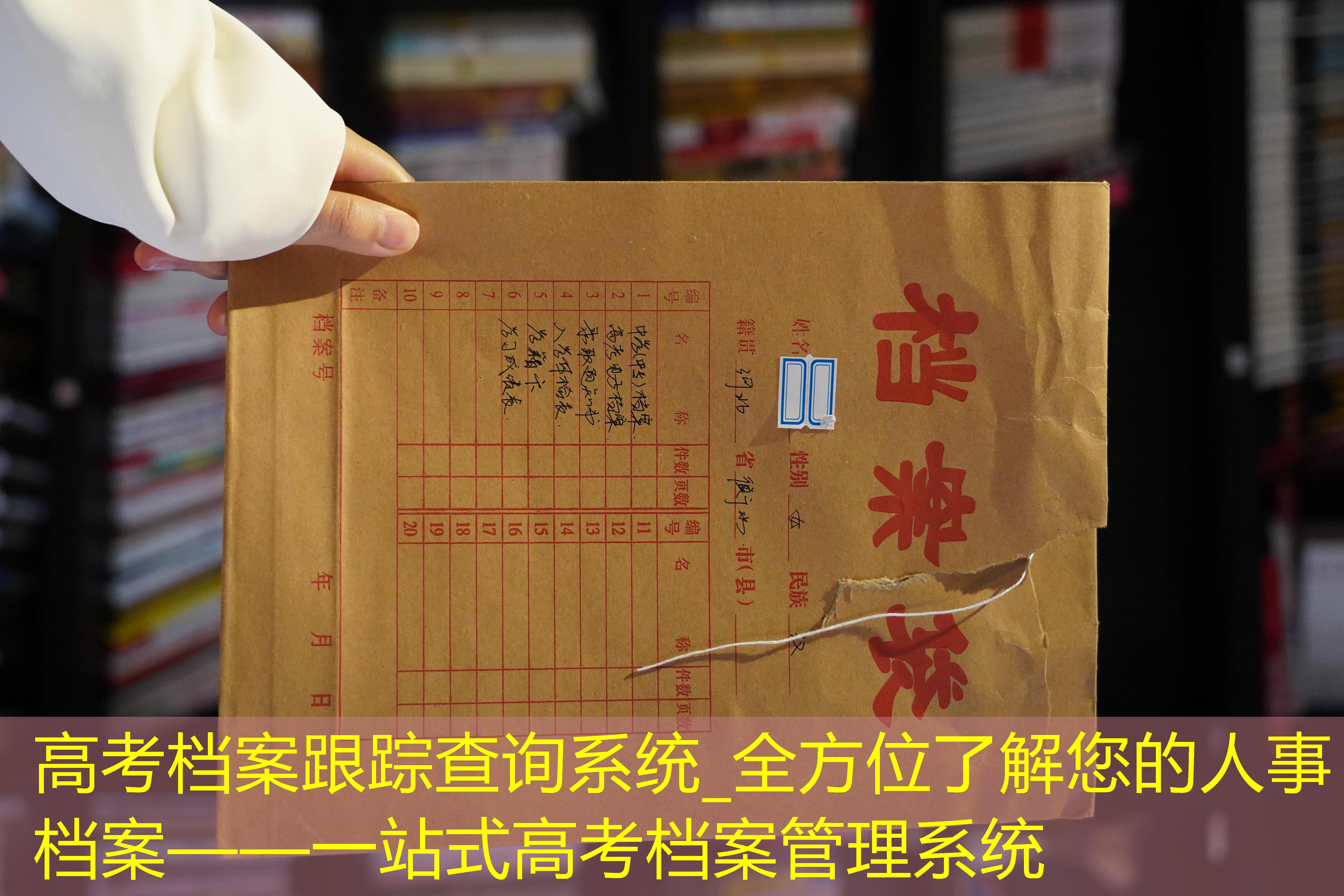 档案查询