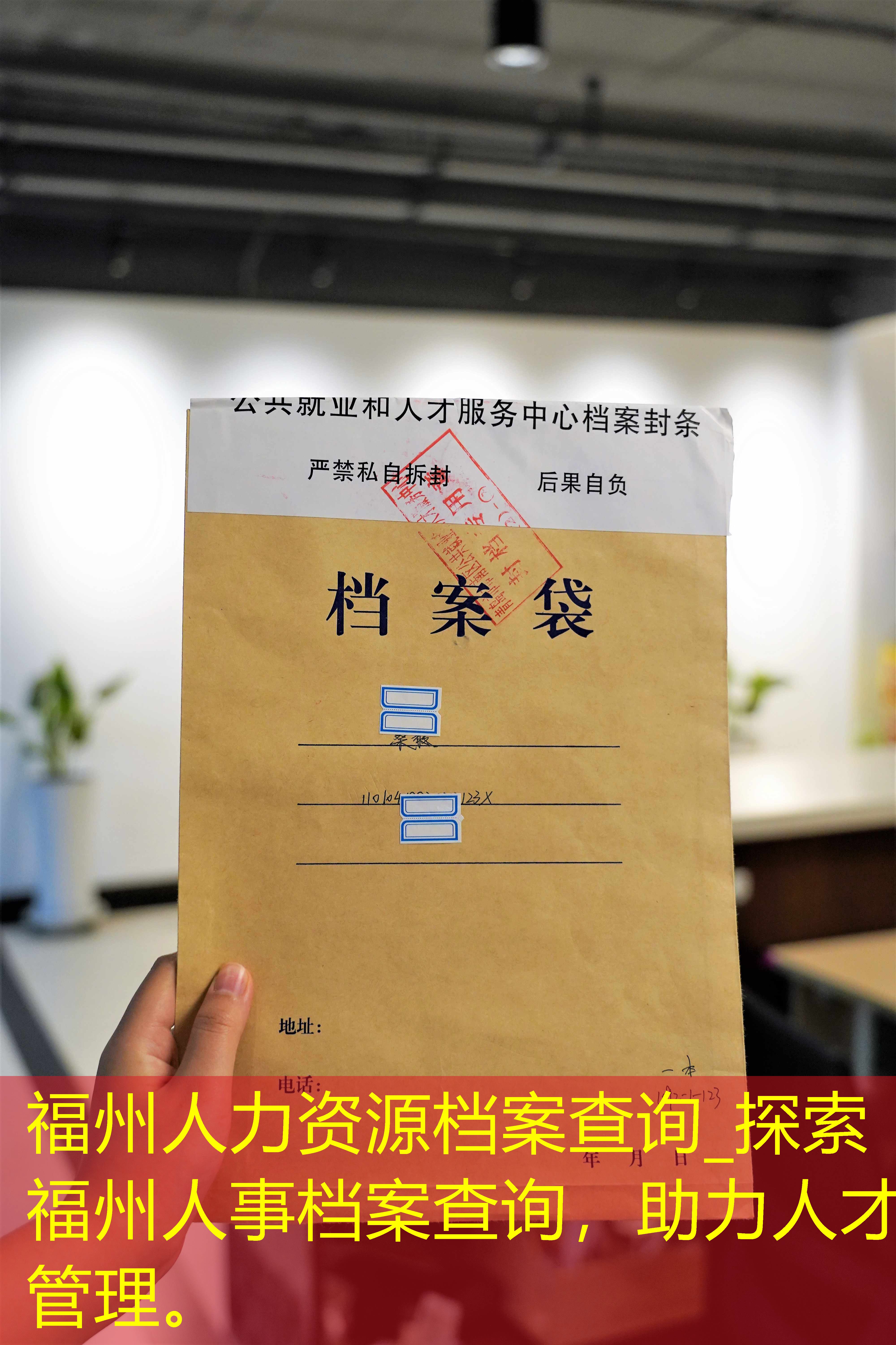 档案查询