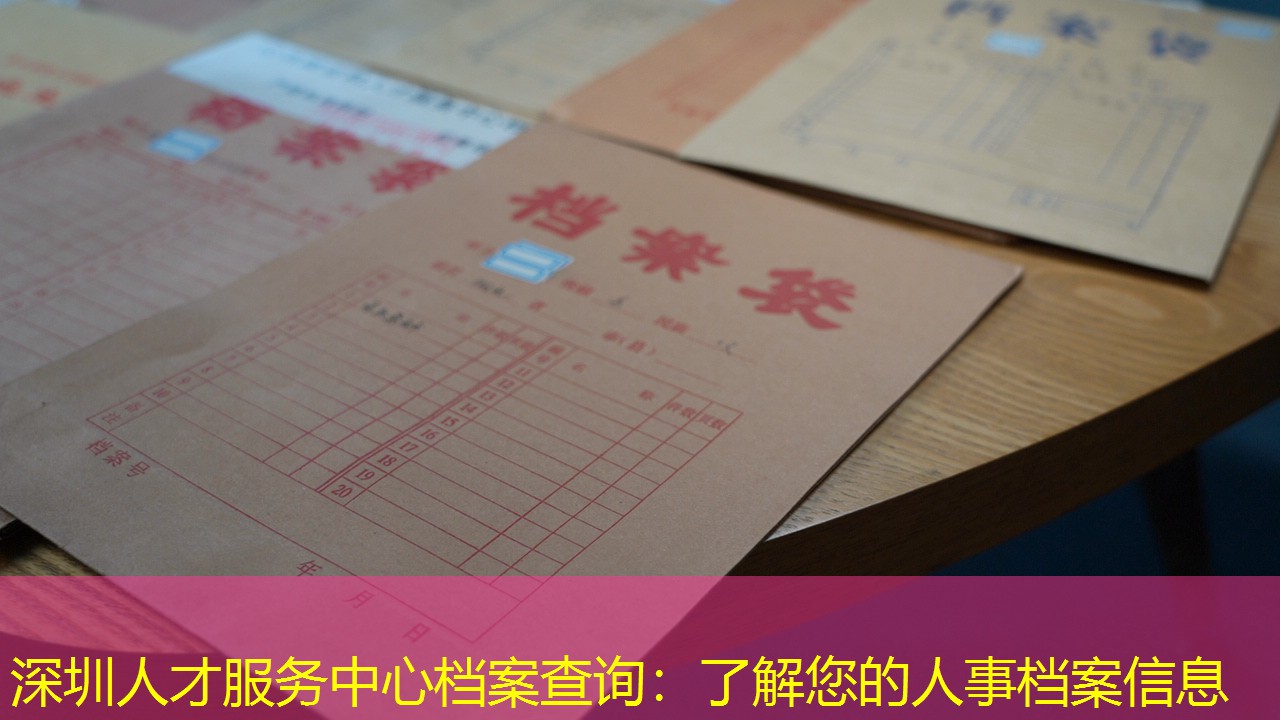 档案查询