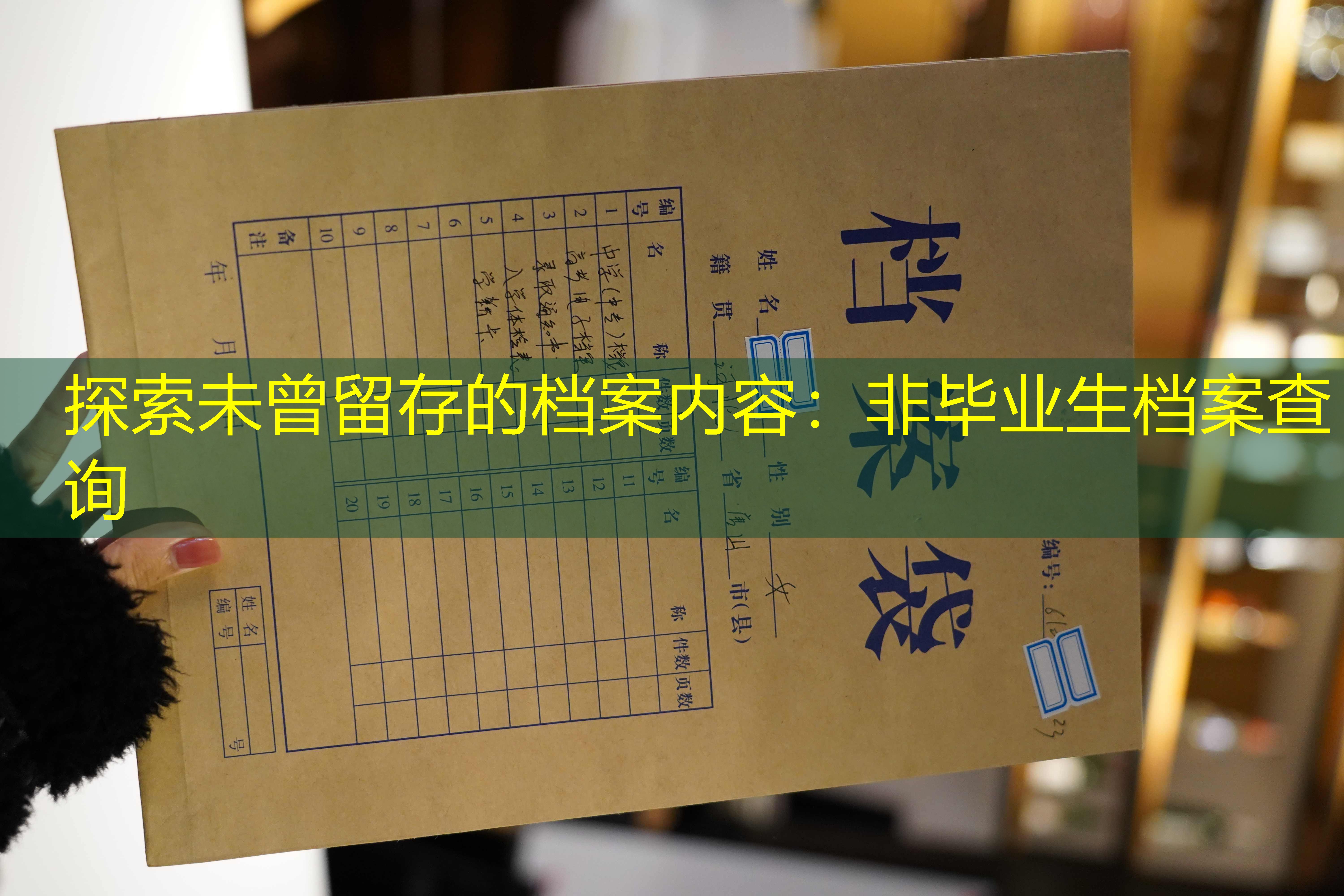档案查询