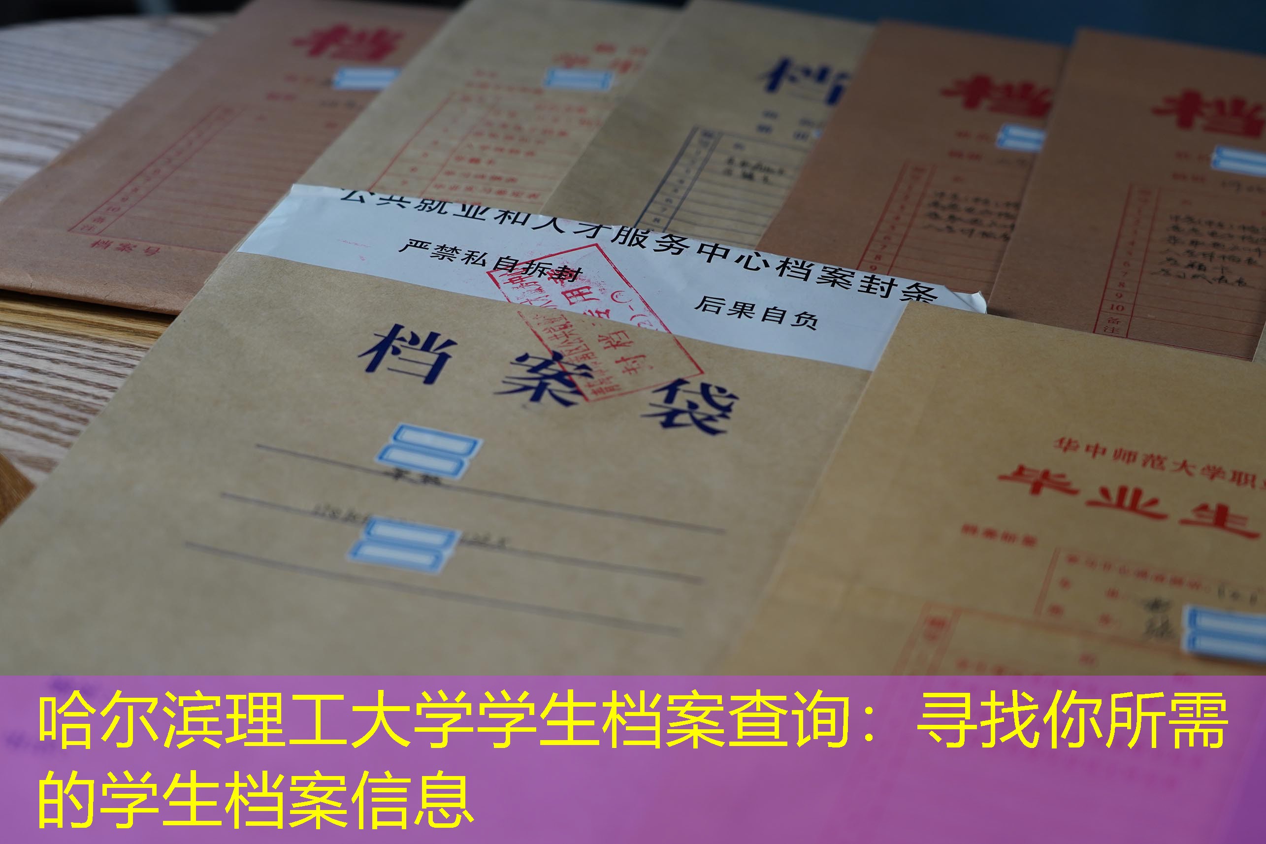 档案查询