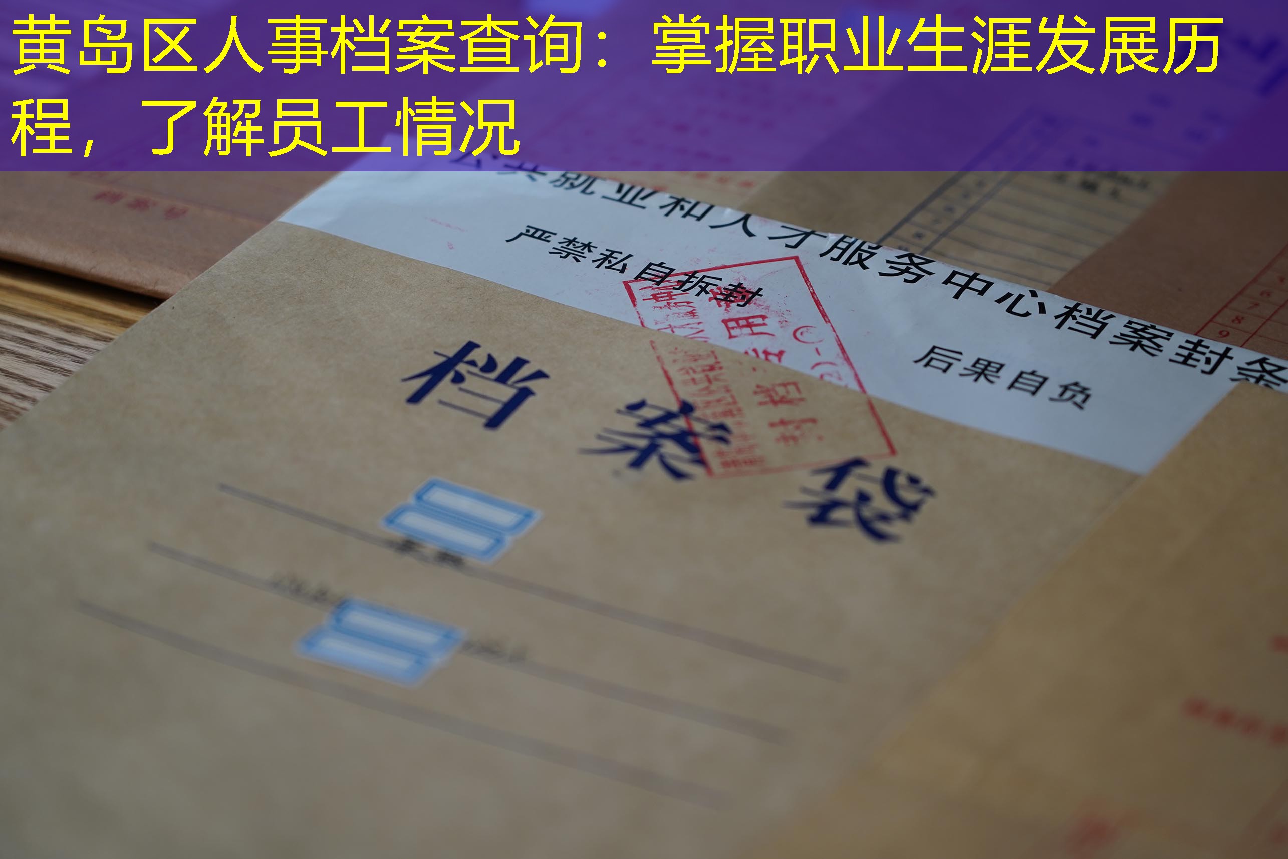 档案查询