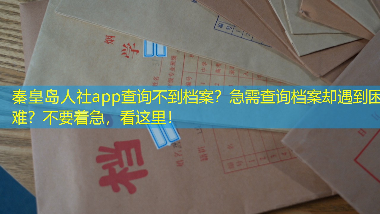 档案查询