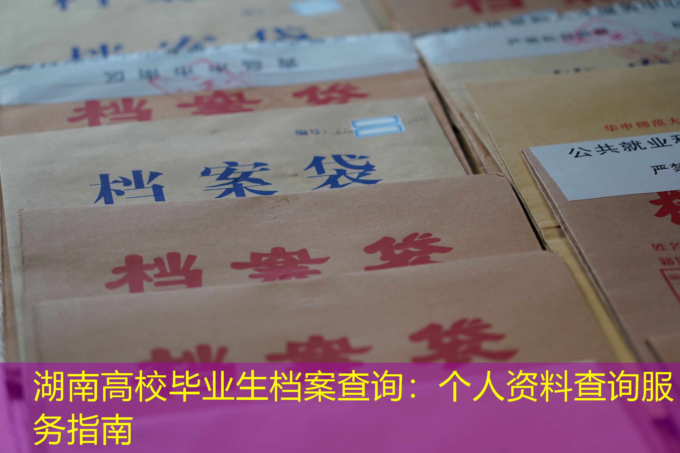 档案查询