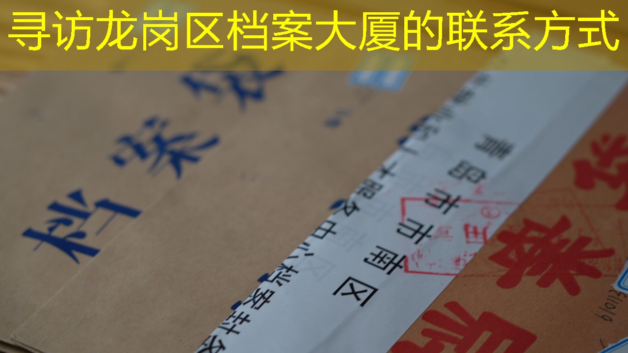 档案查询