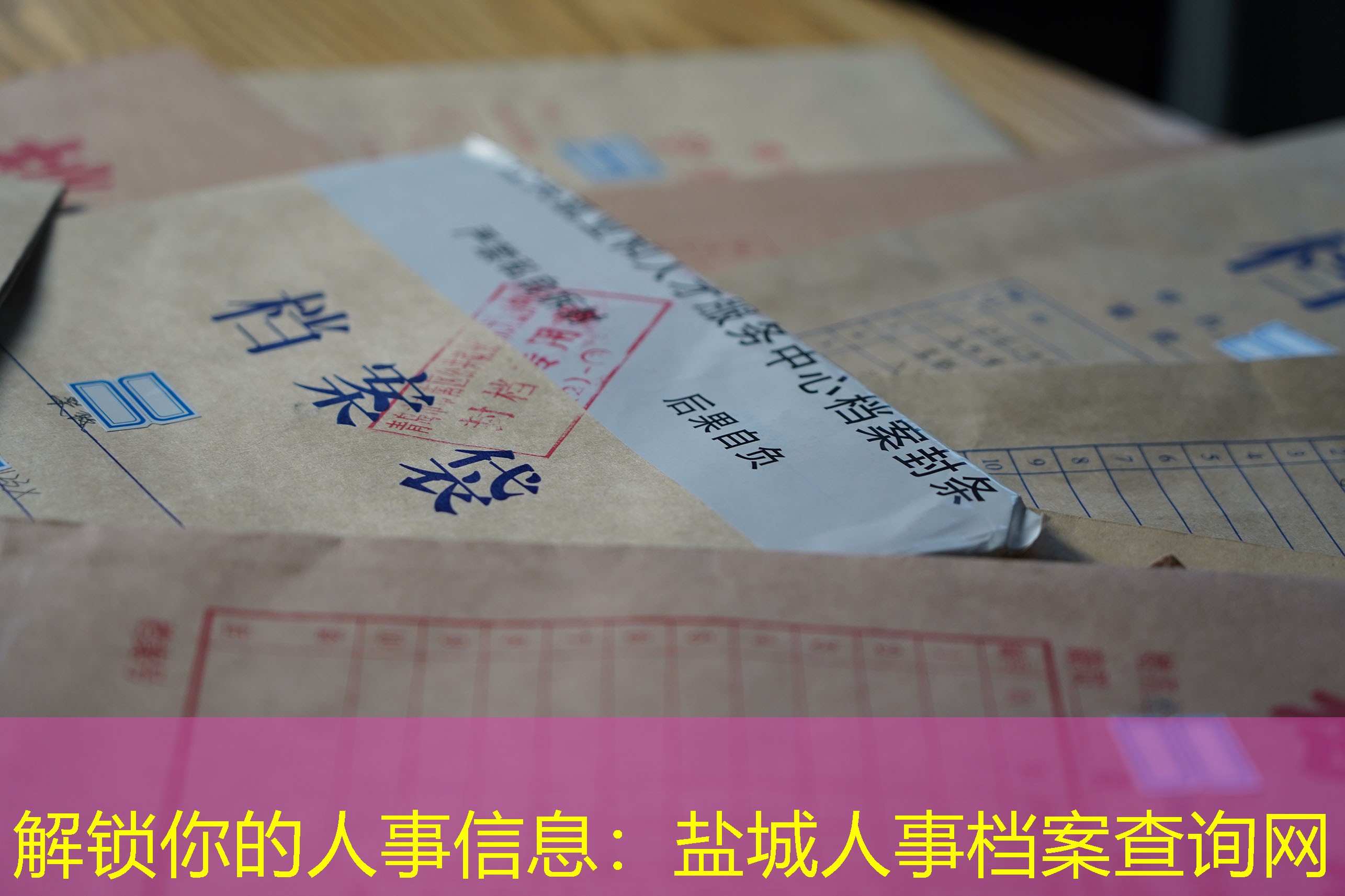 档案查询
