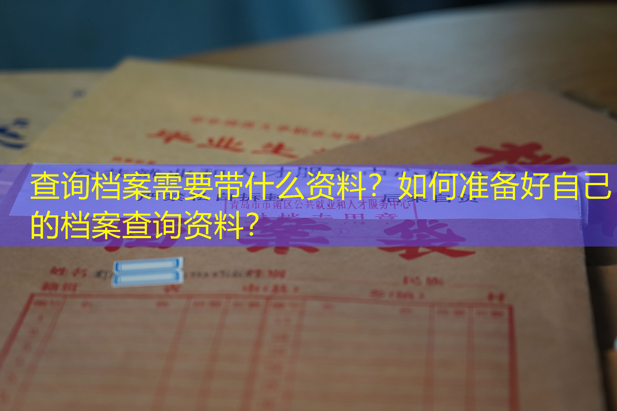 档案查询