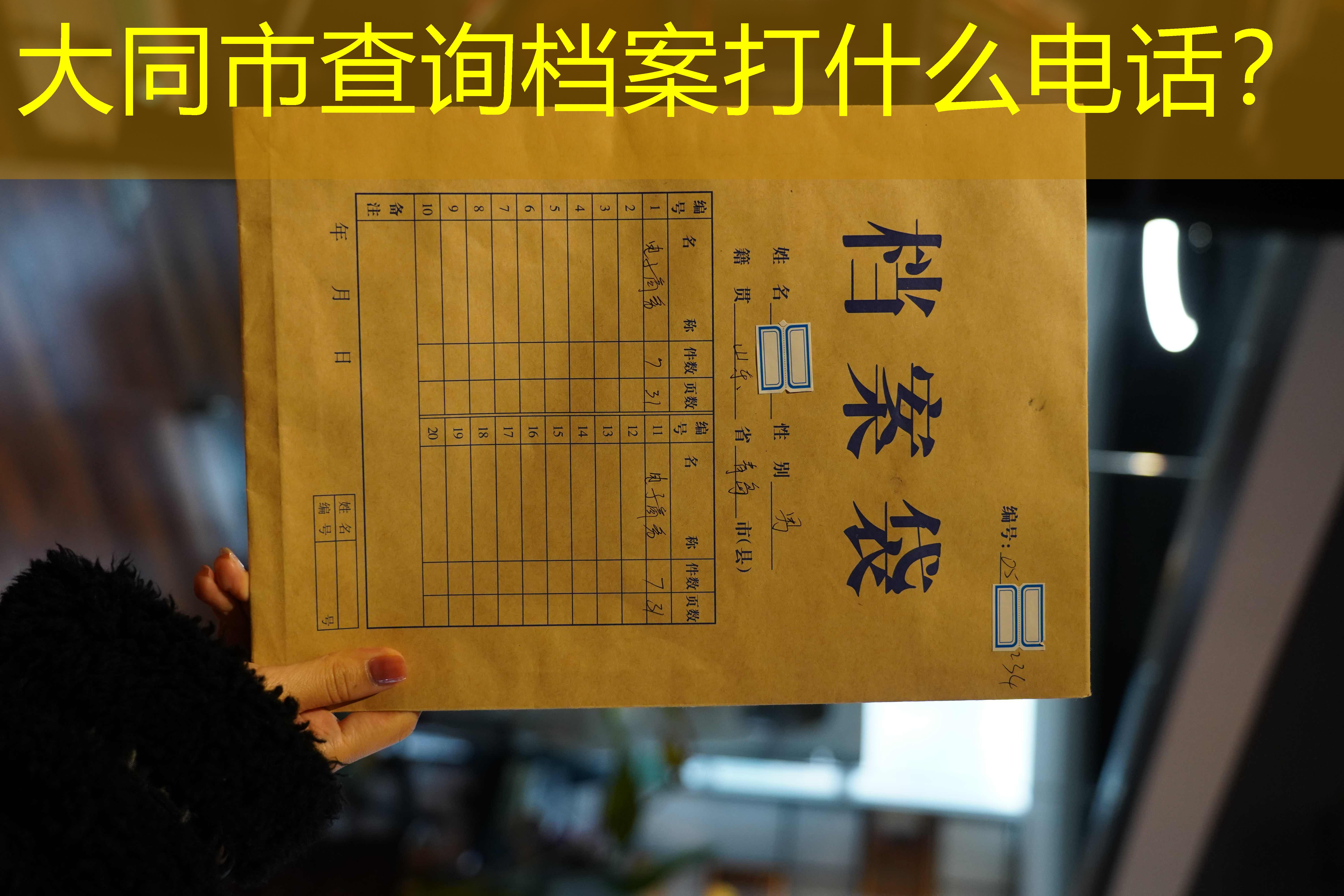 档案查询