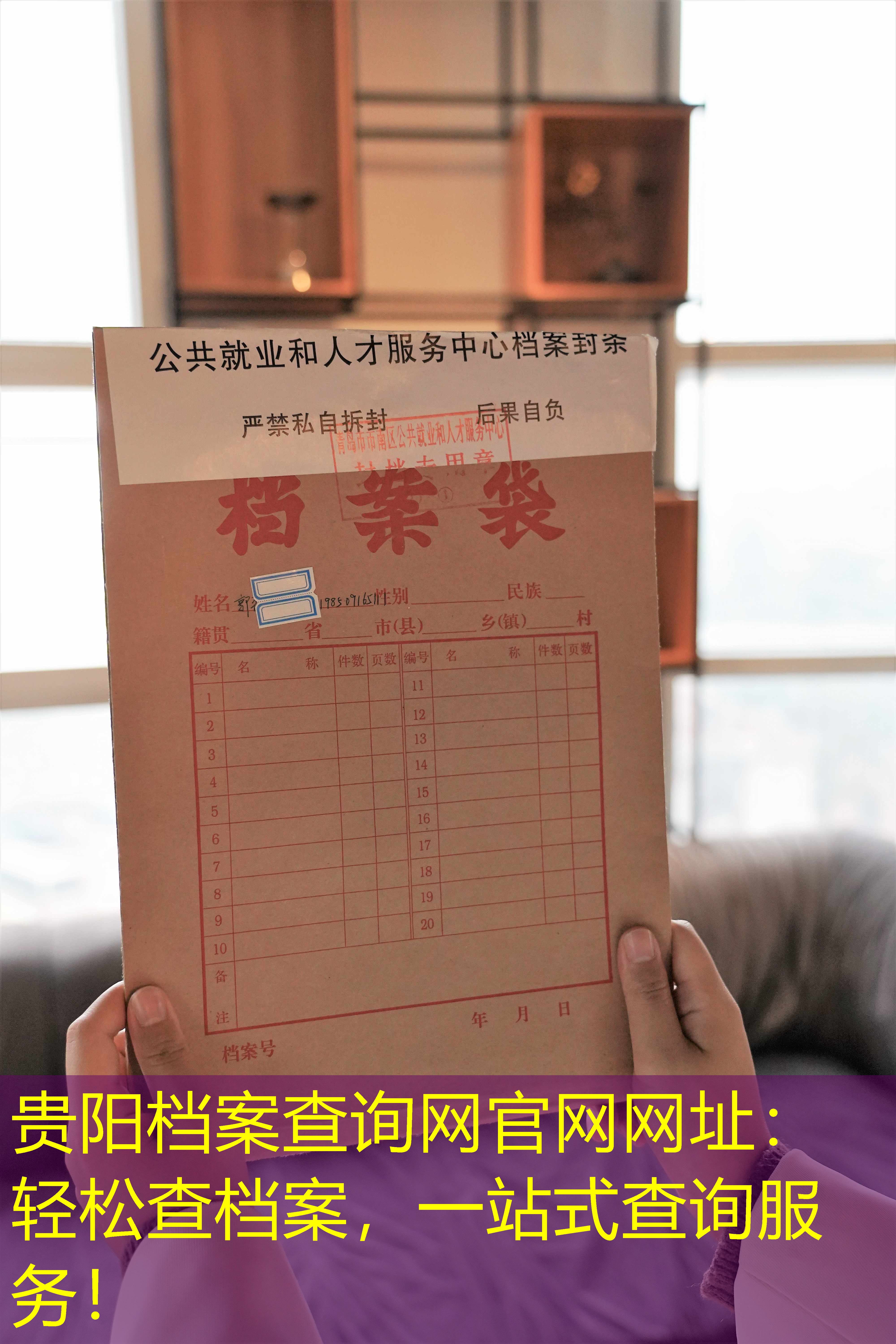 档案查询