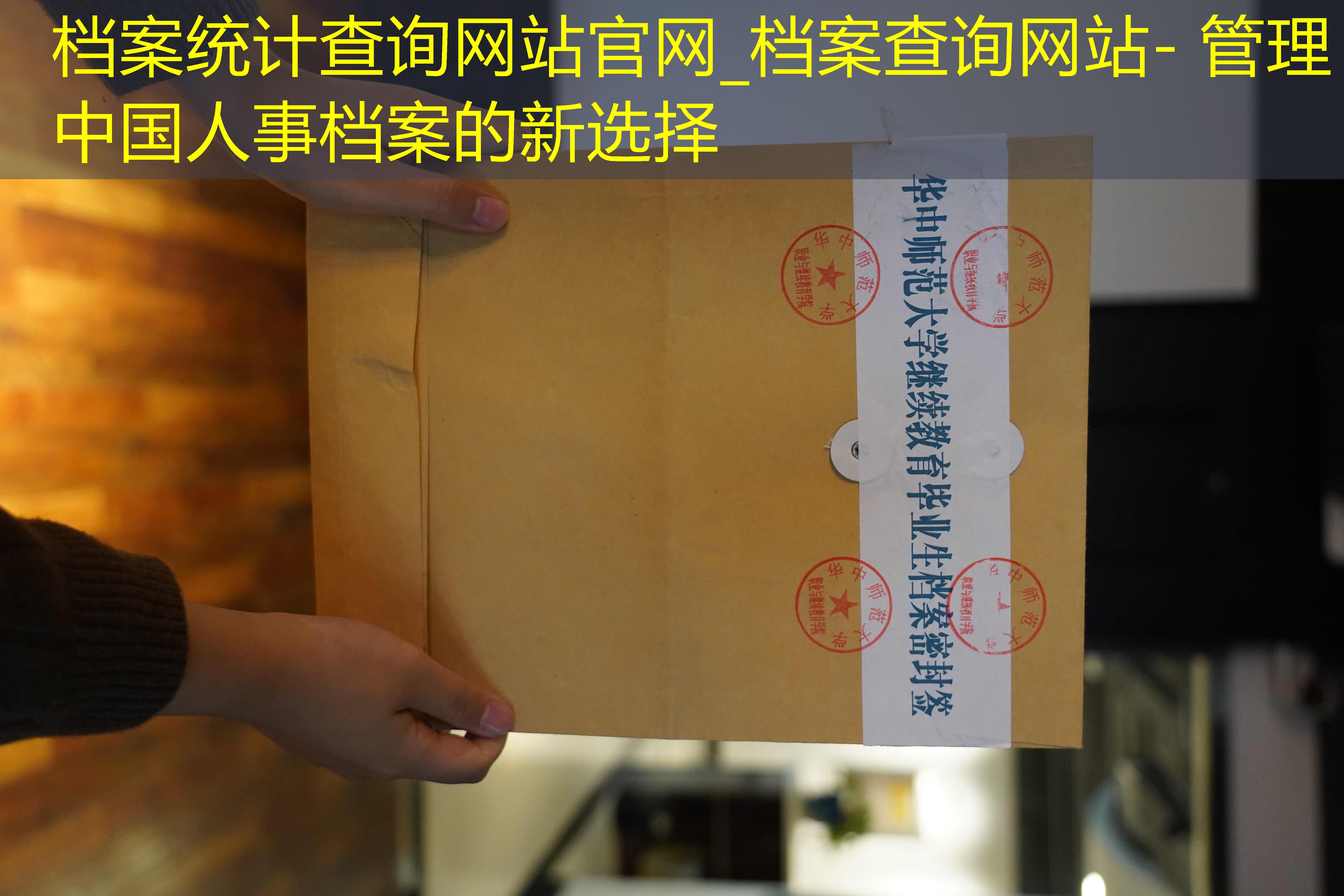 档案查询