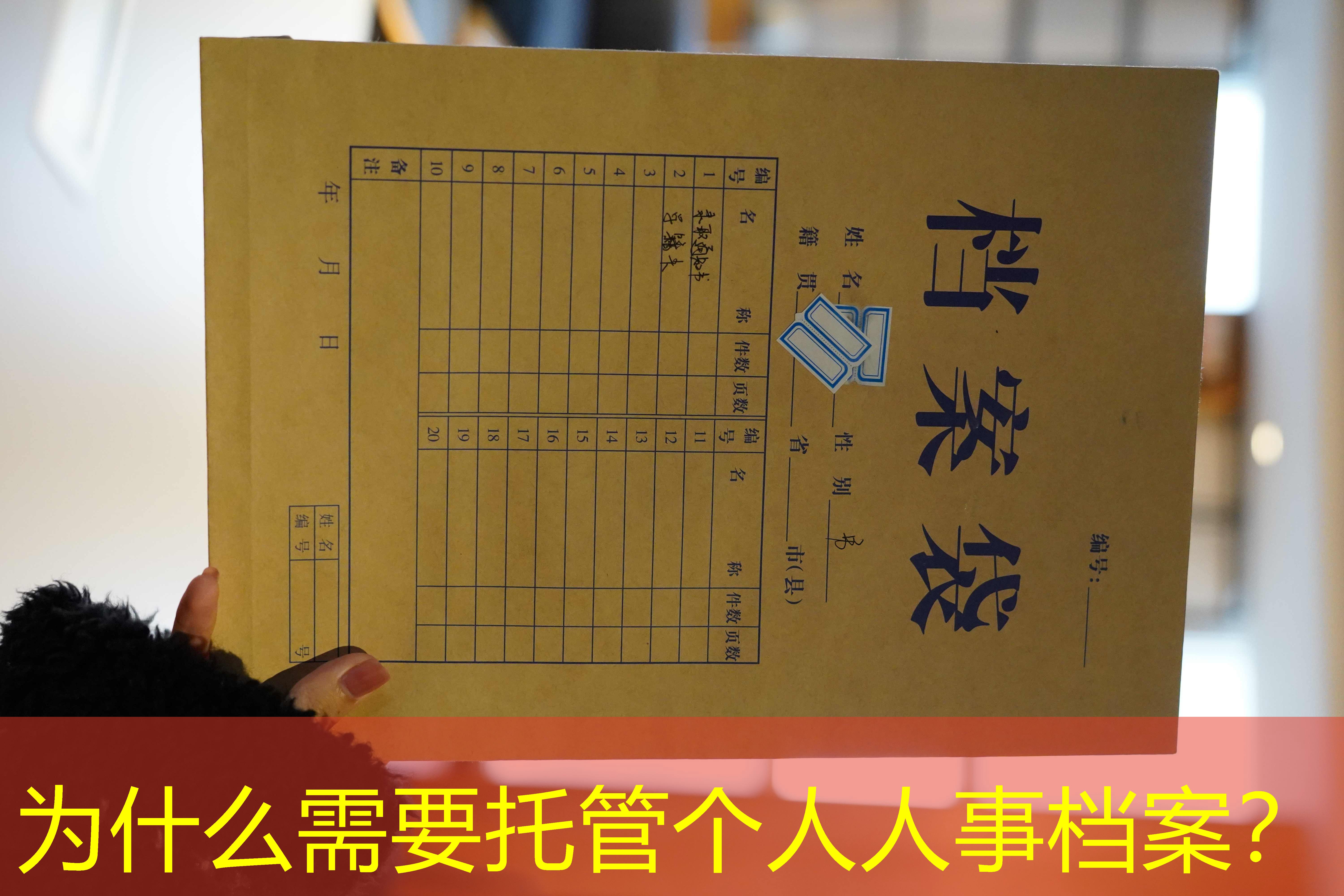 档案查询
