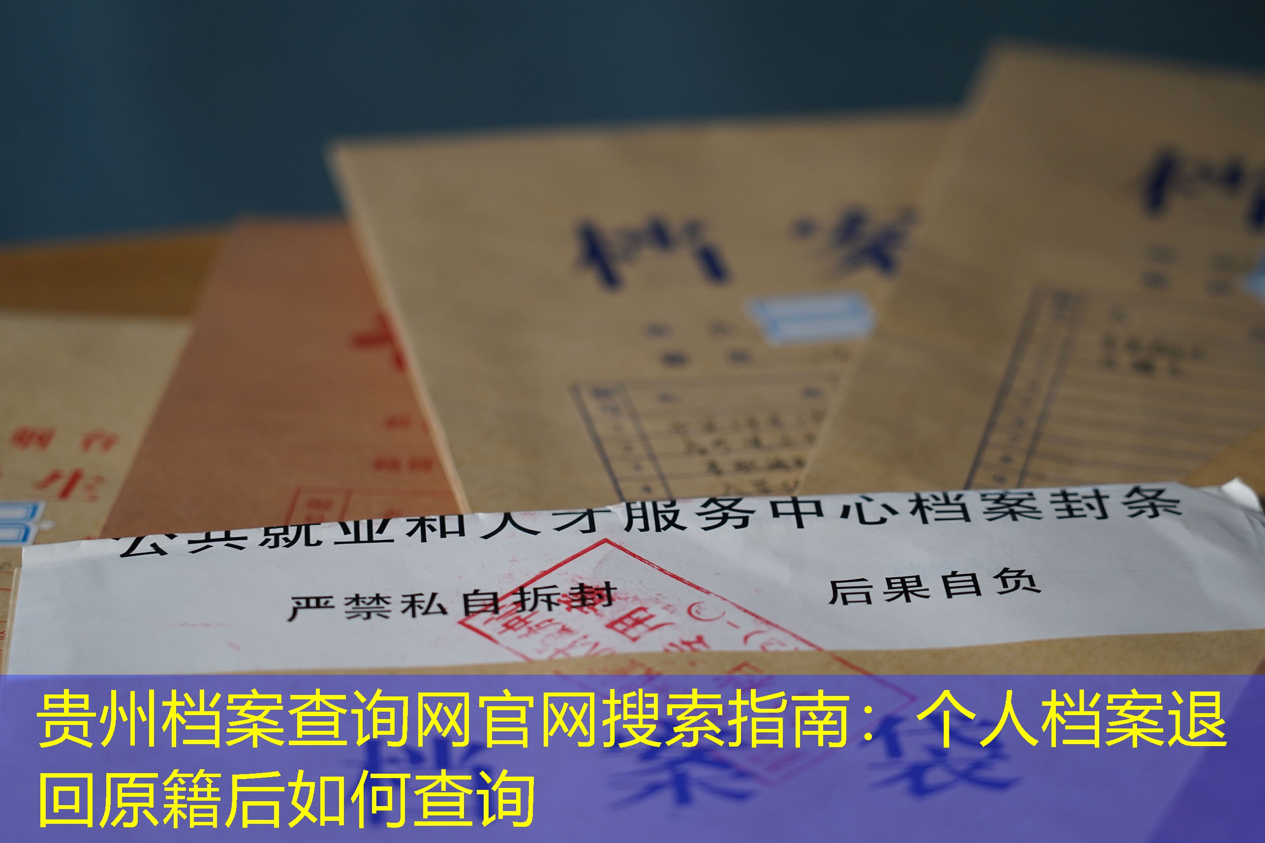 档案查询