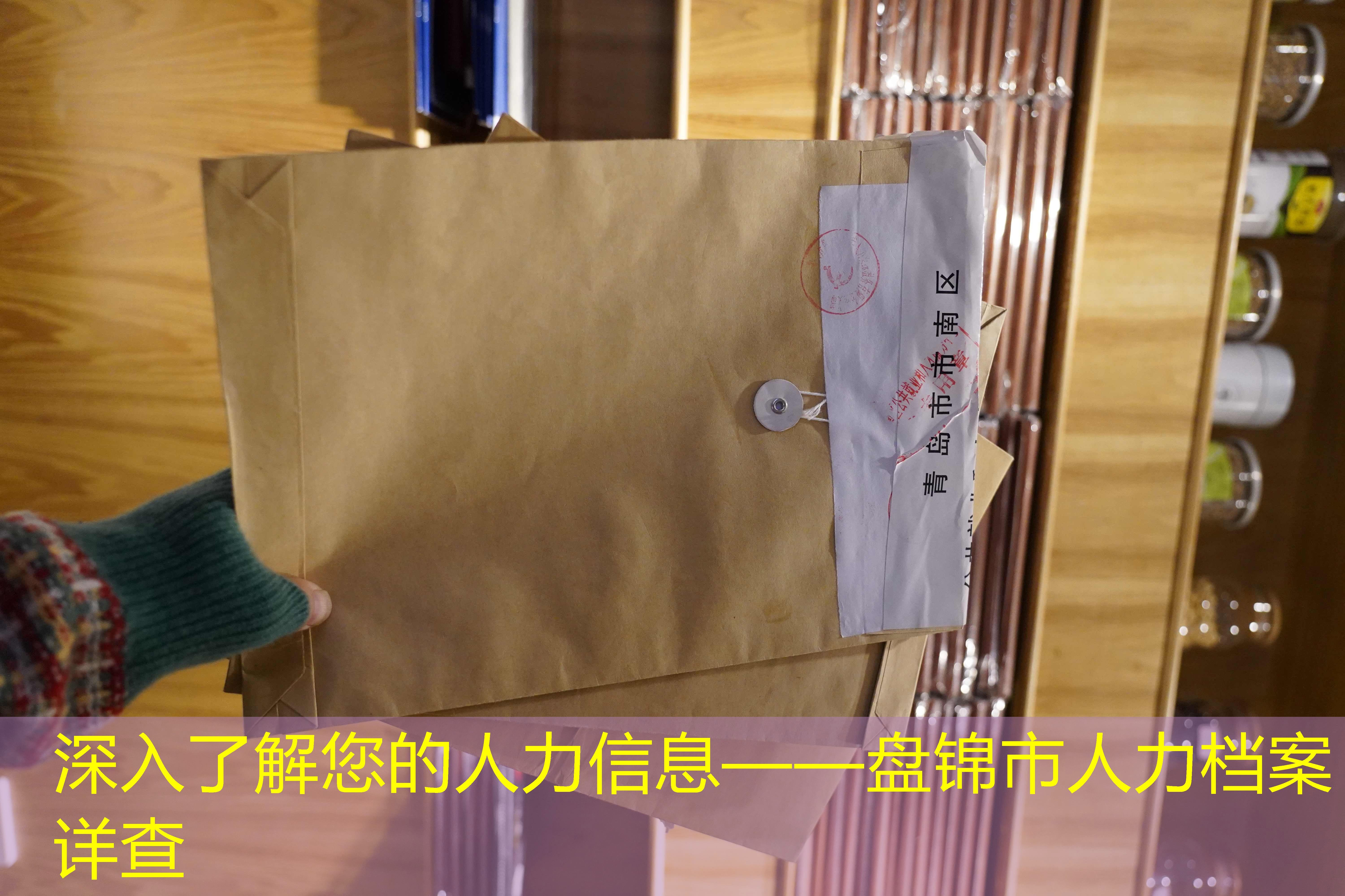 档案查询