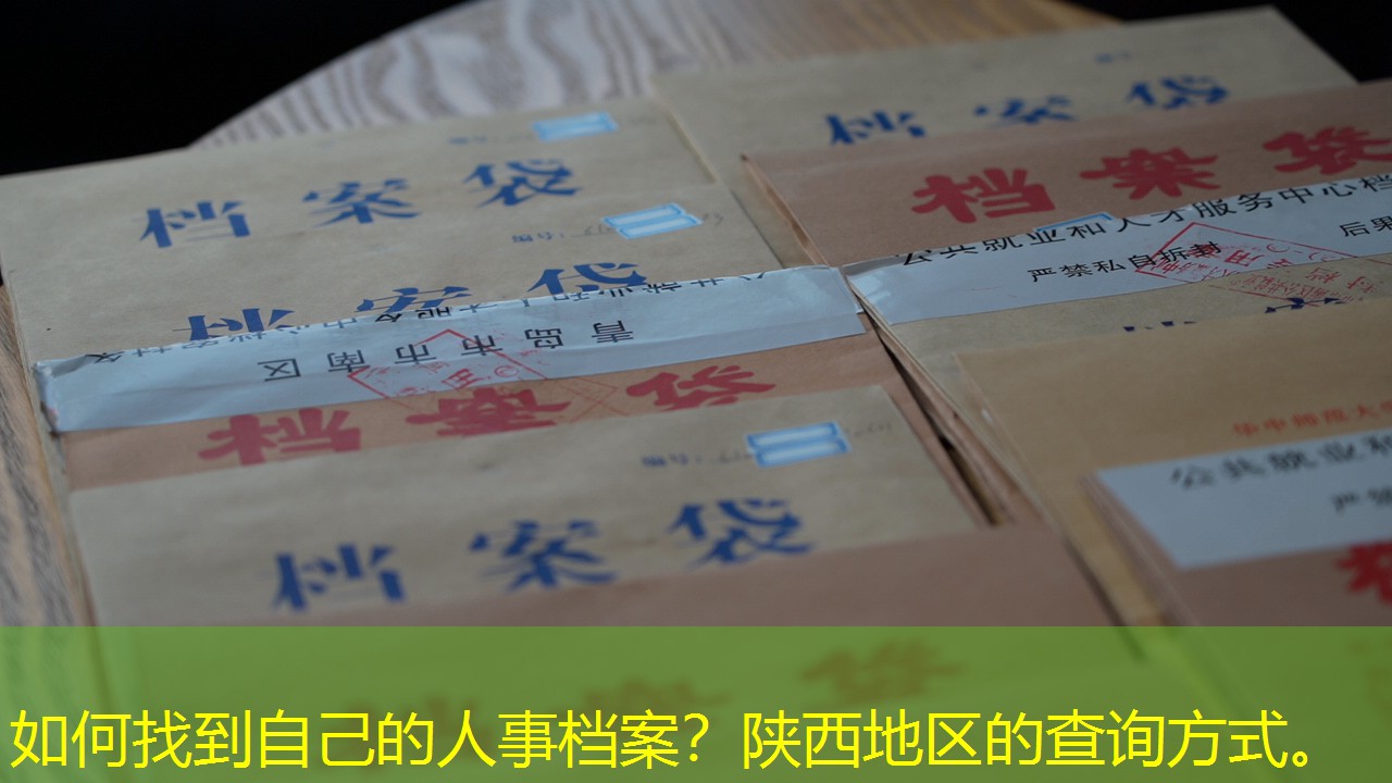 档案查询