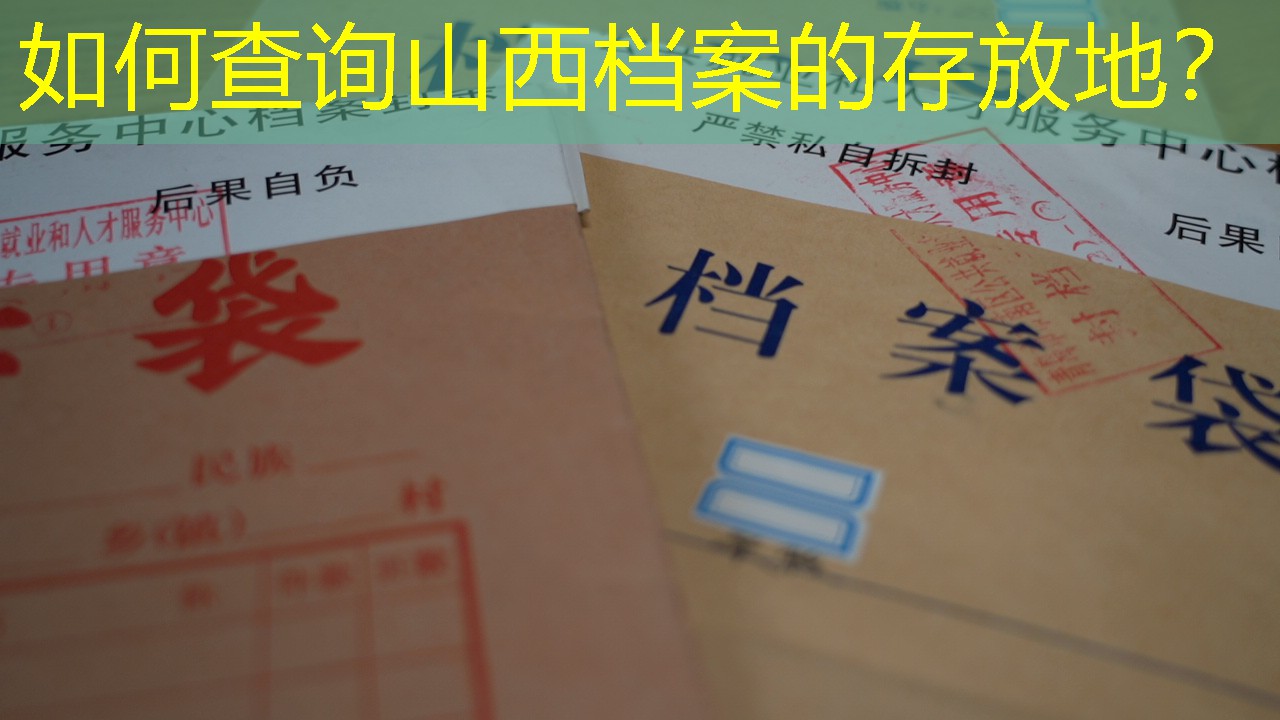 档案查询