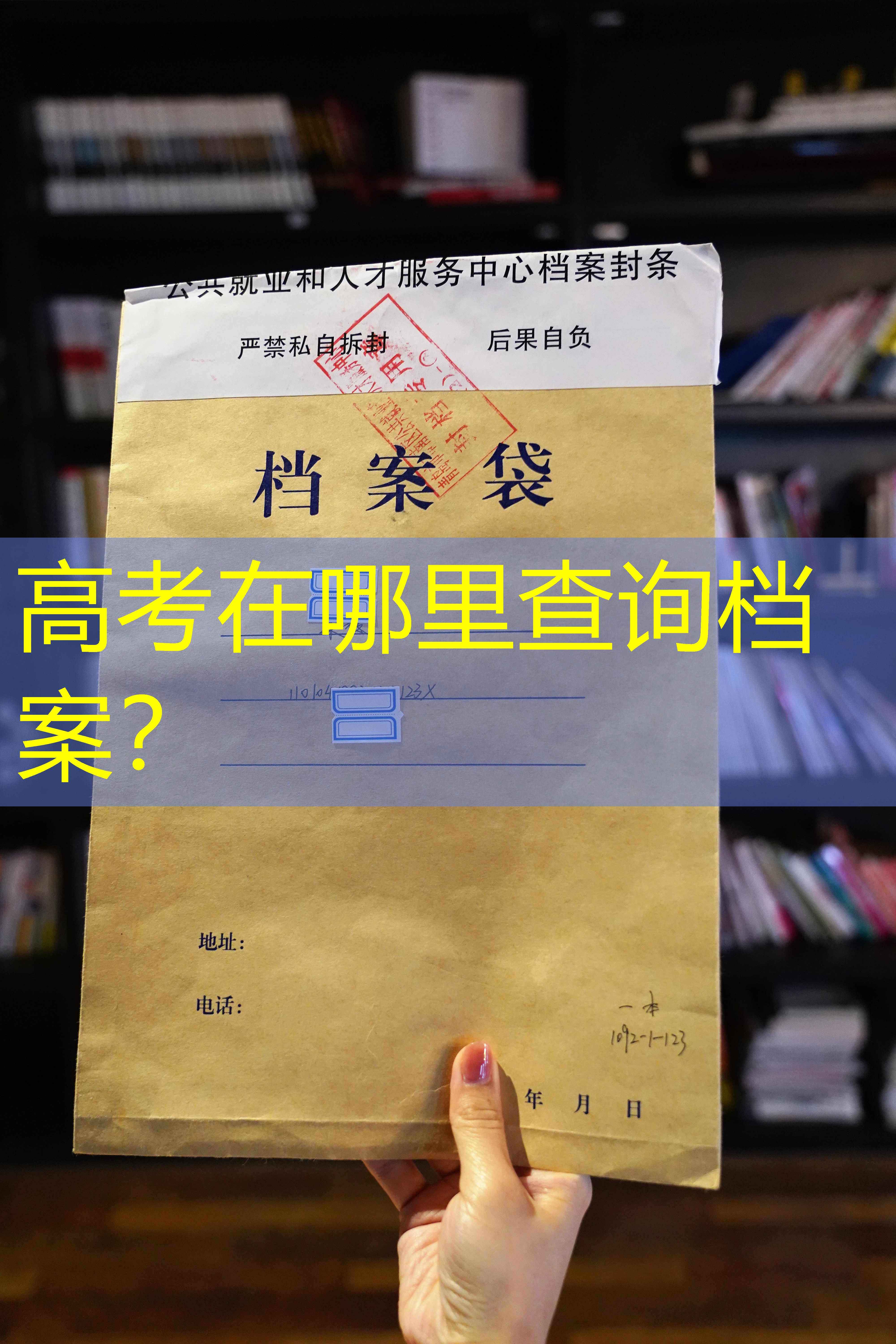 档案查询