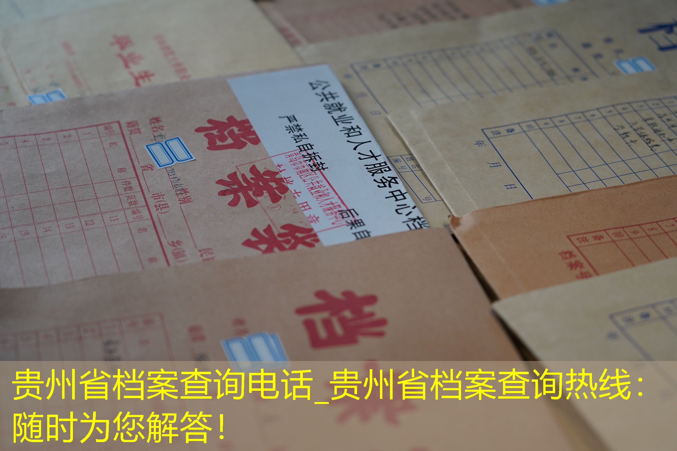 档案查询