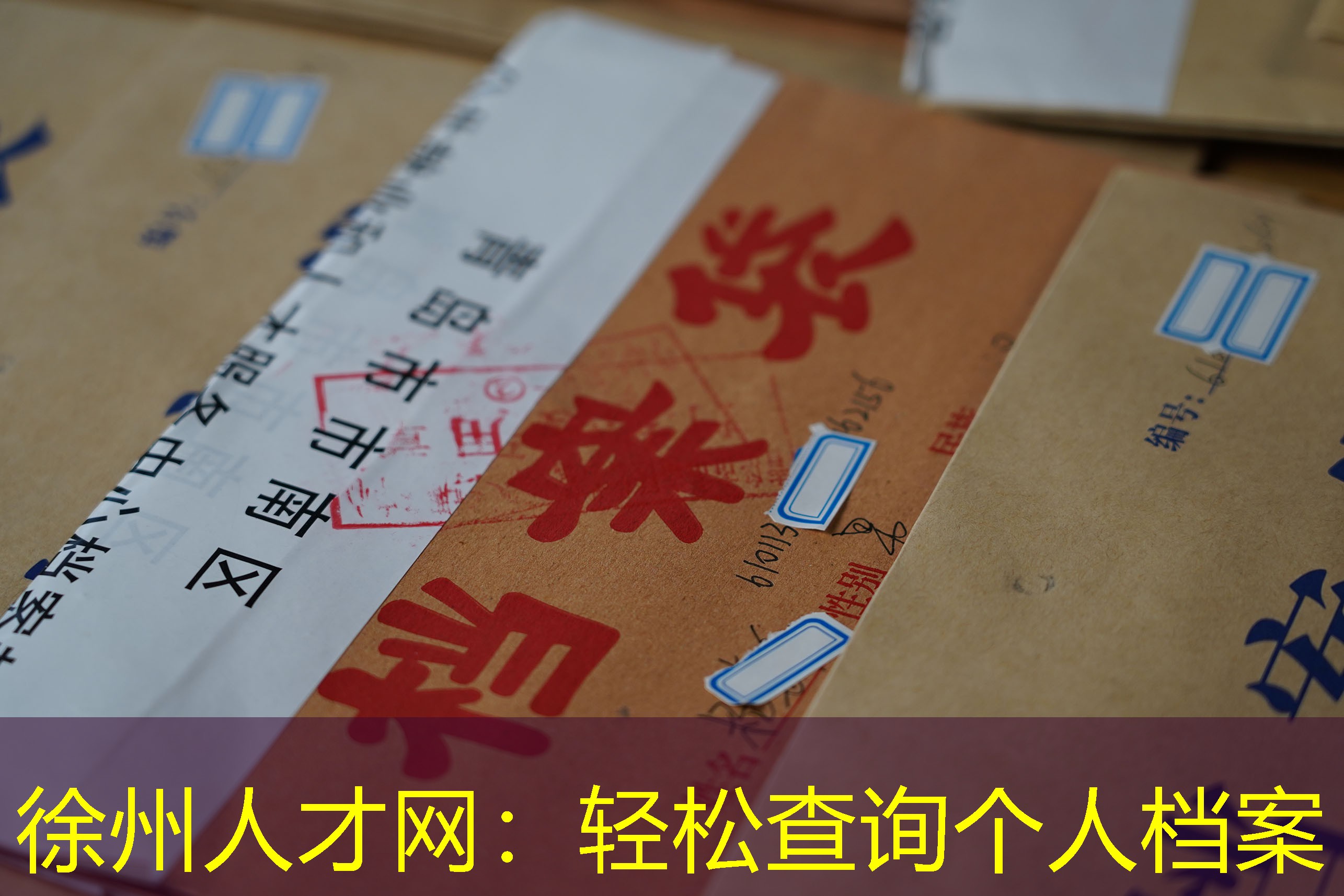 档案查询