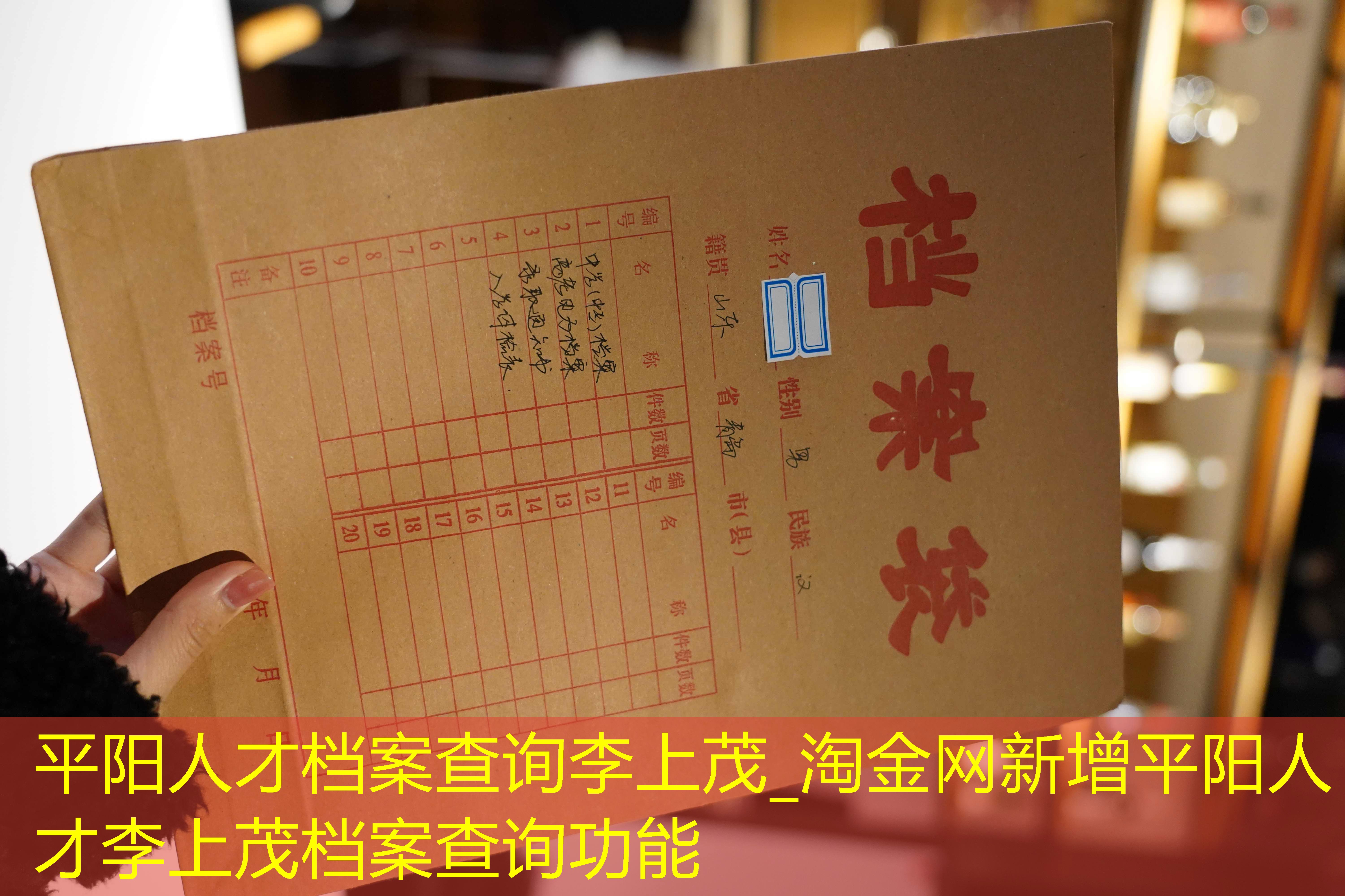 档案查询