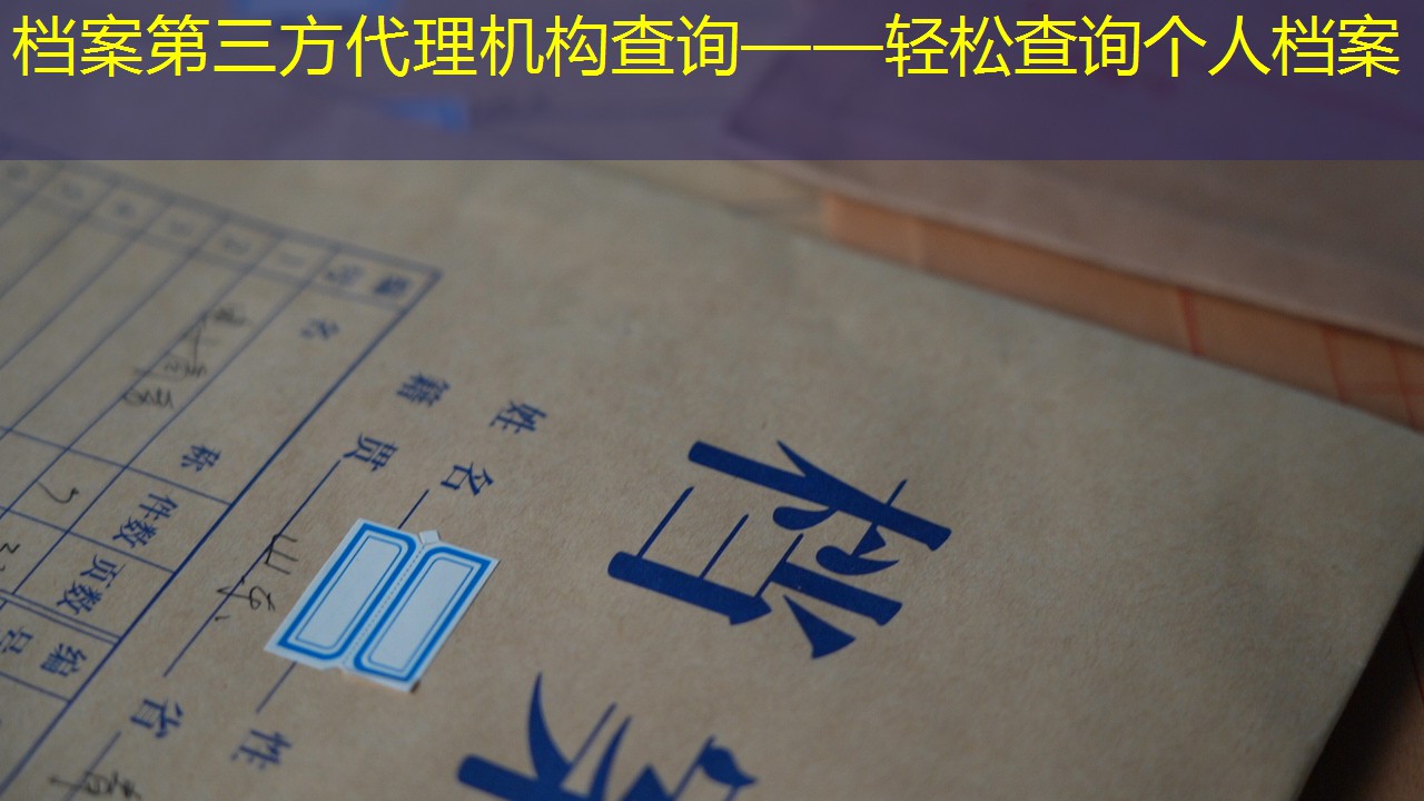 档案查询