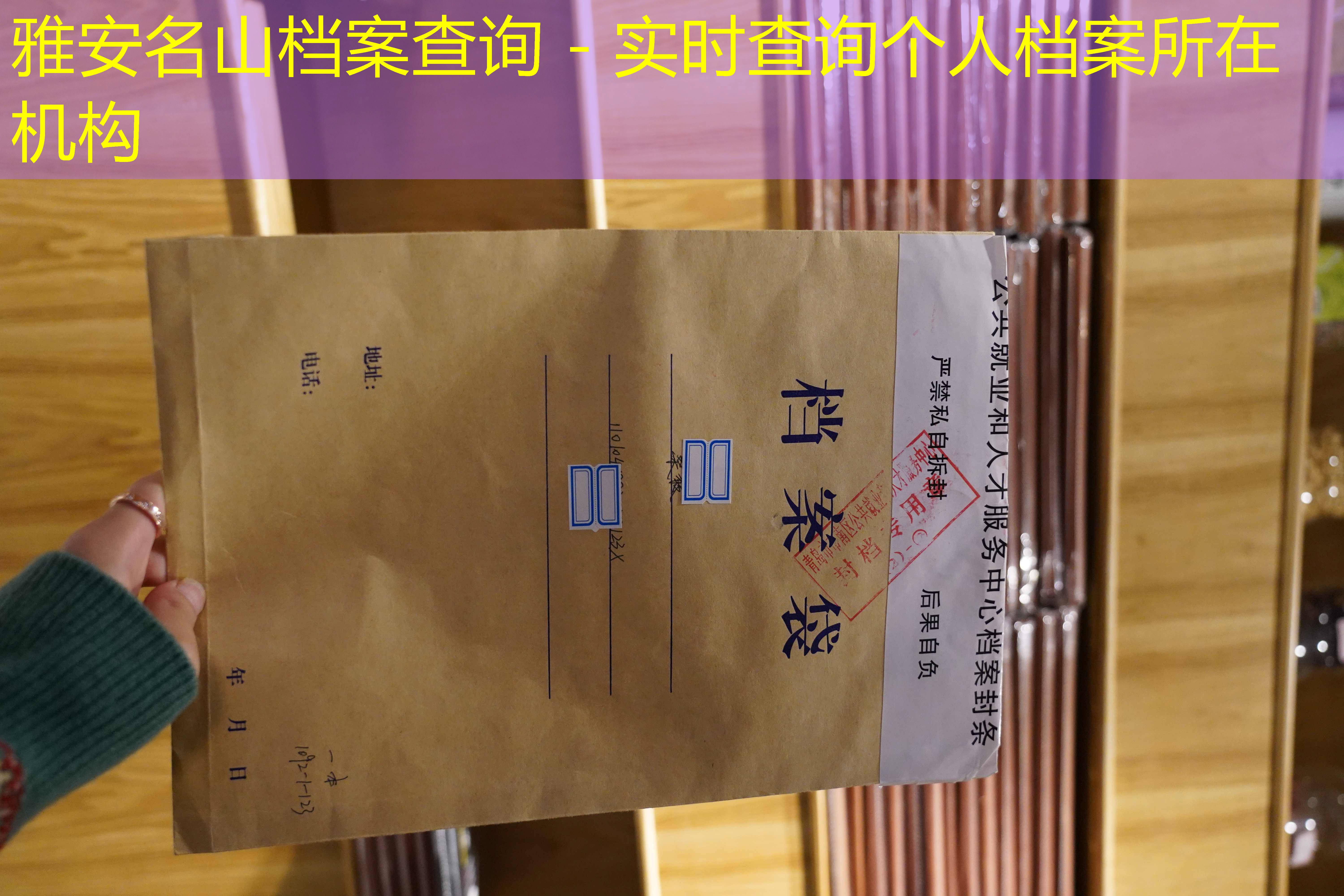 档案查询
