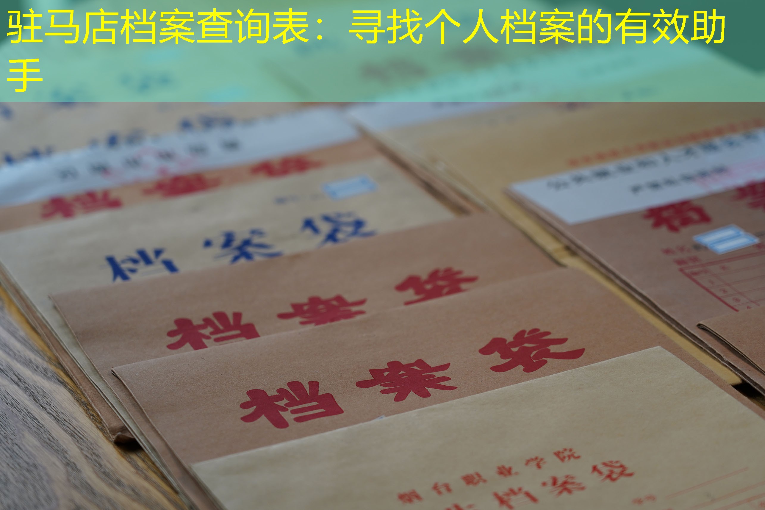 档案查询