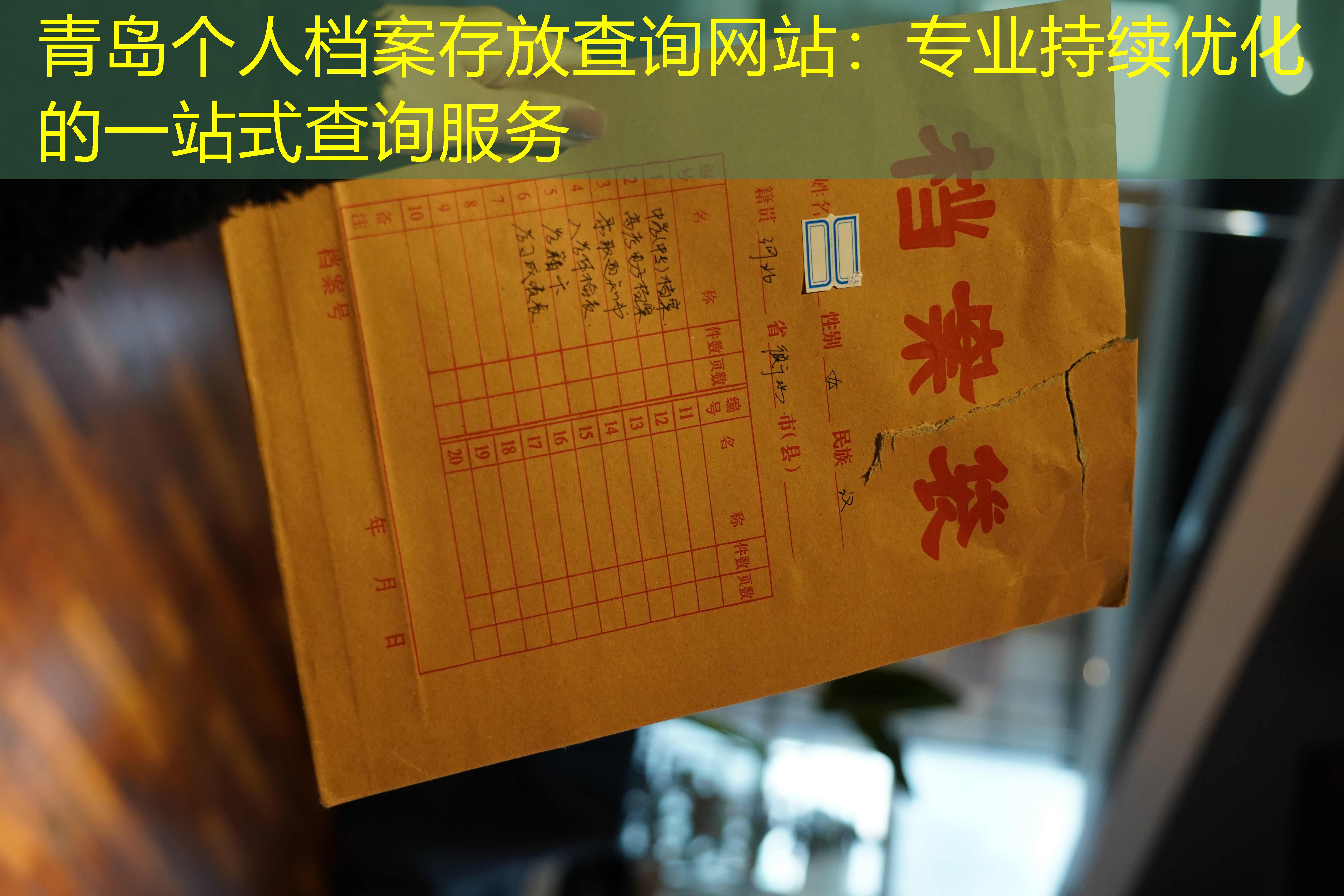 档案查询