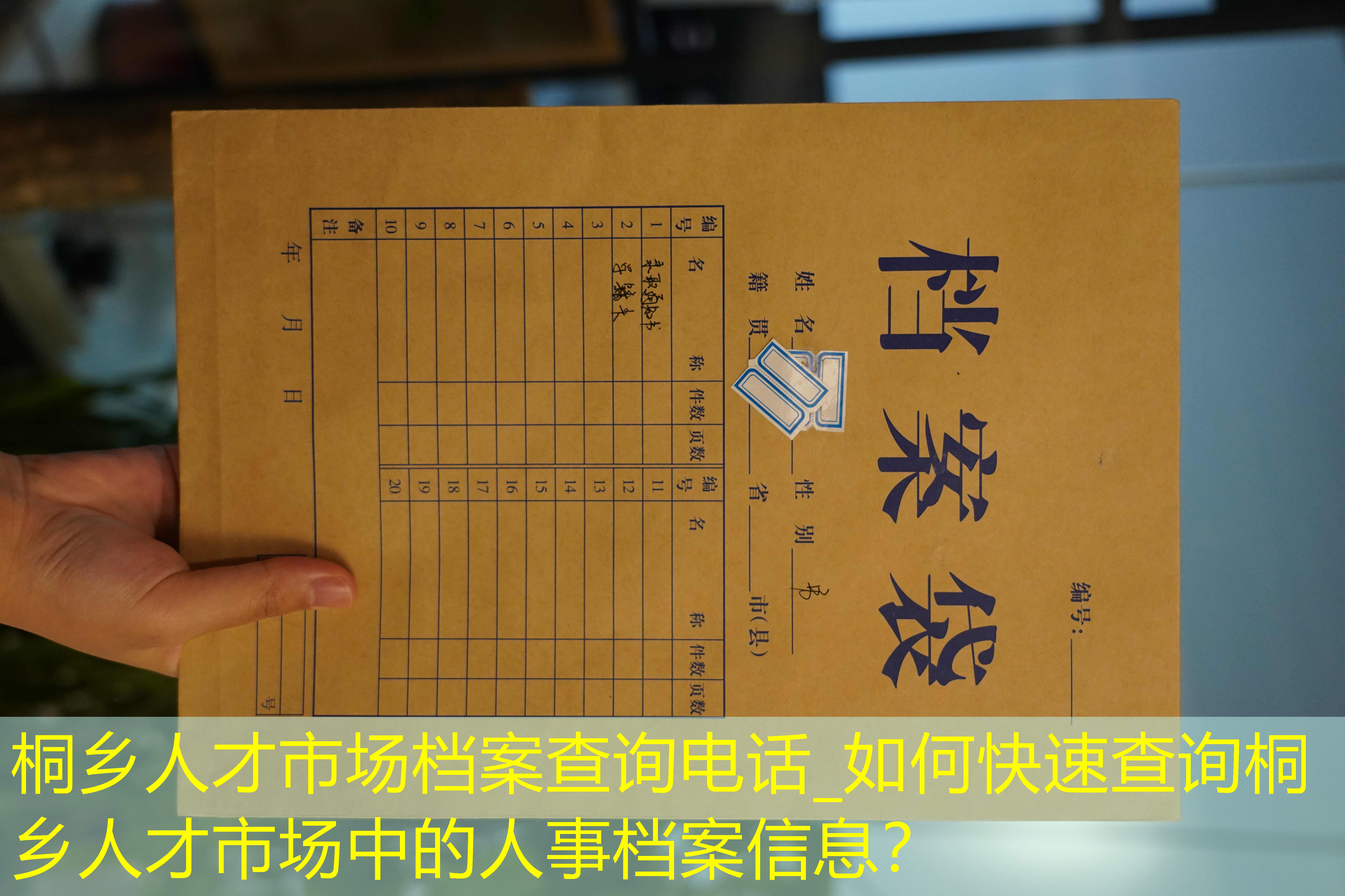 档案查询