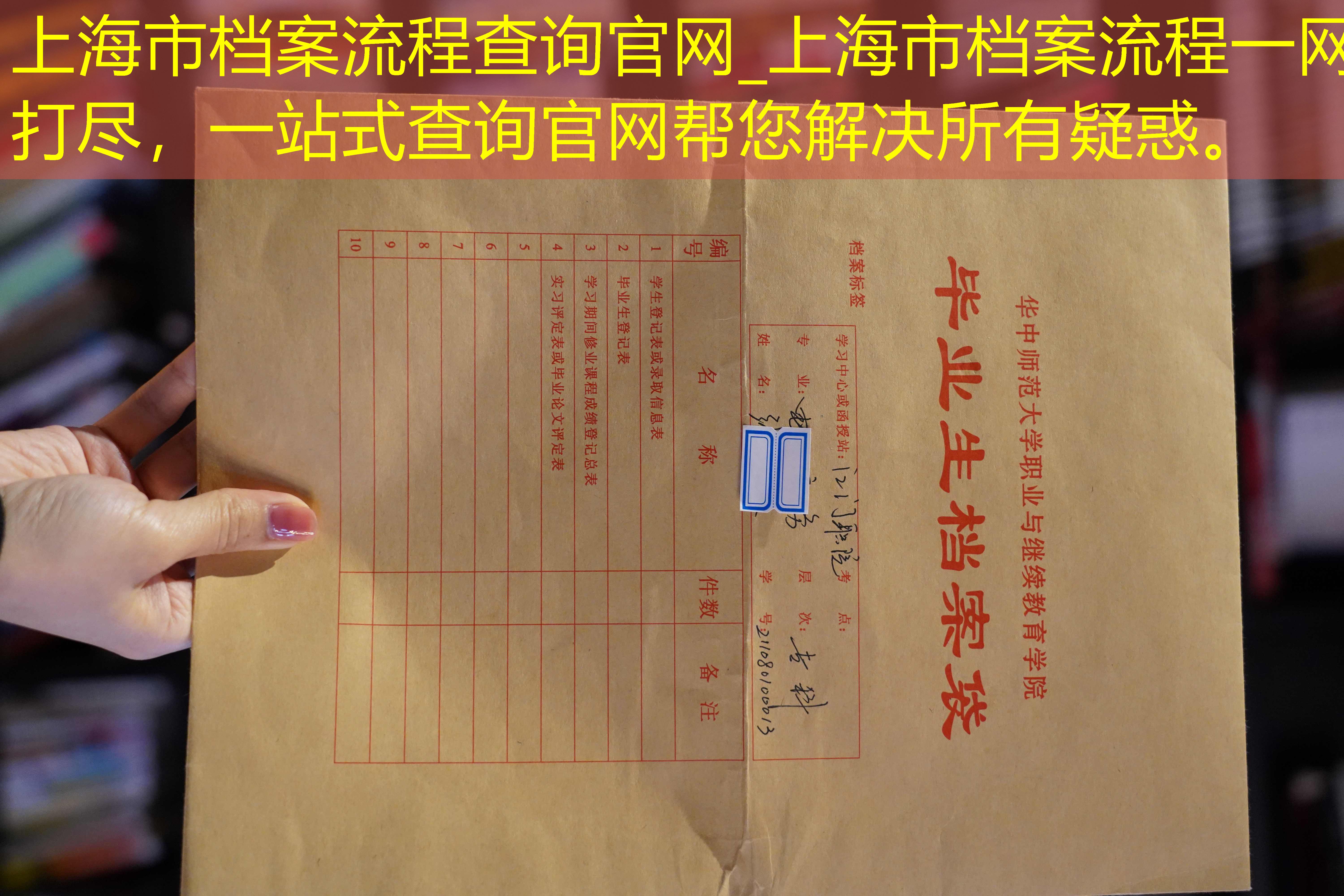 档案查询