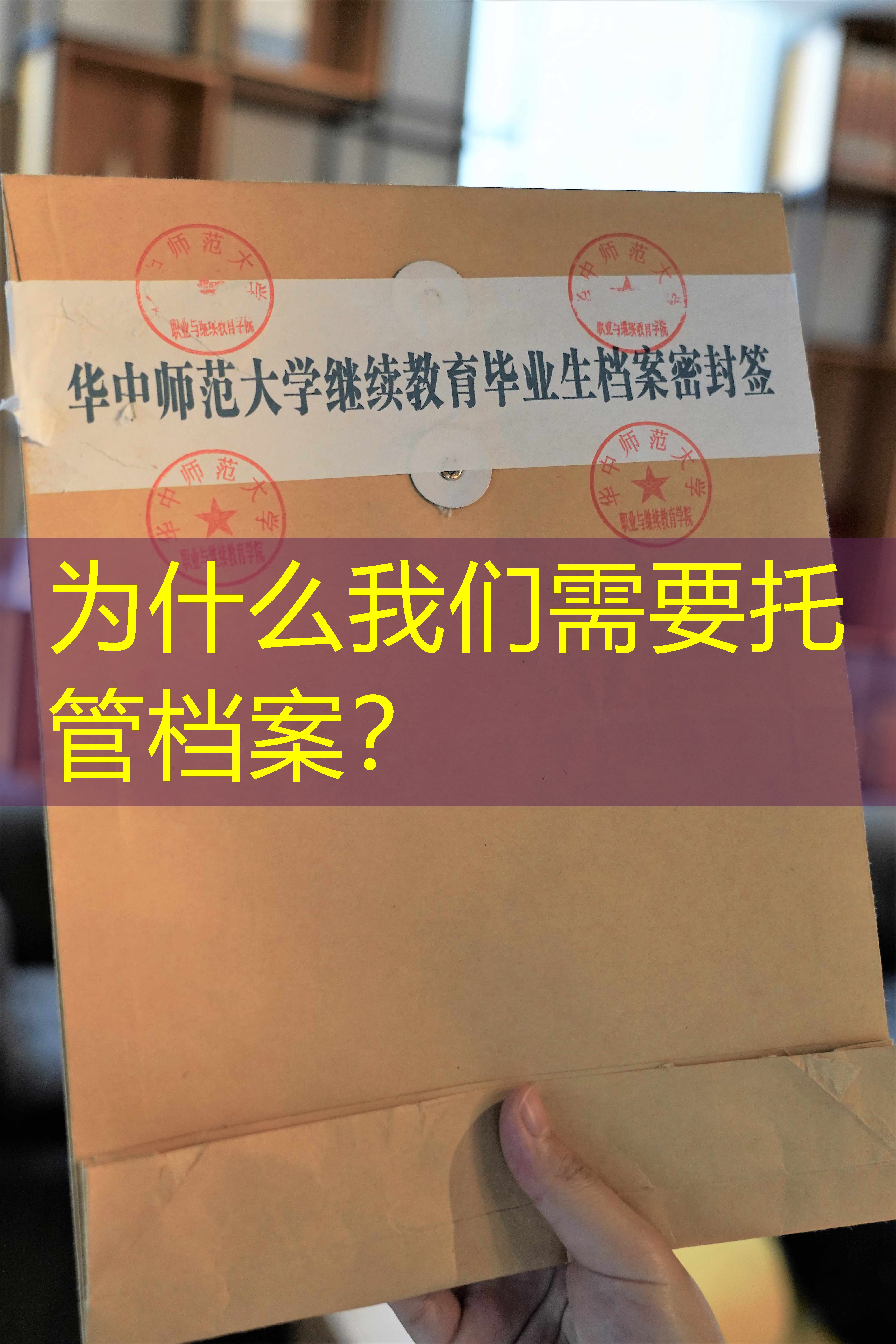 档案查询