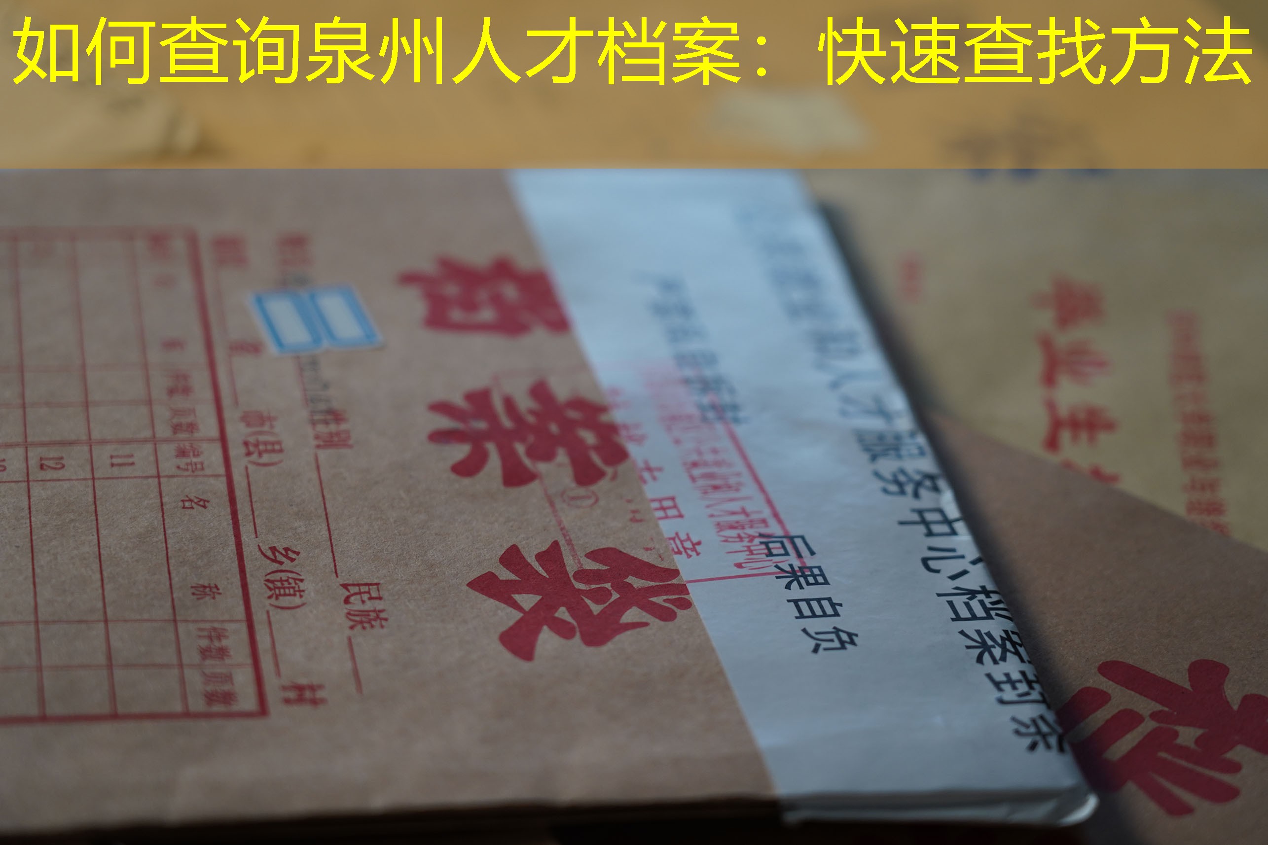 档案查询