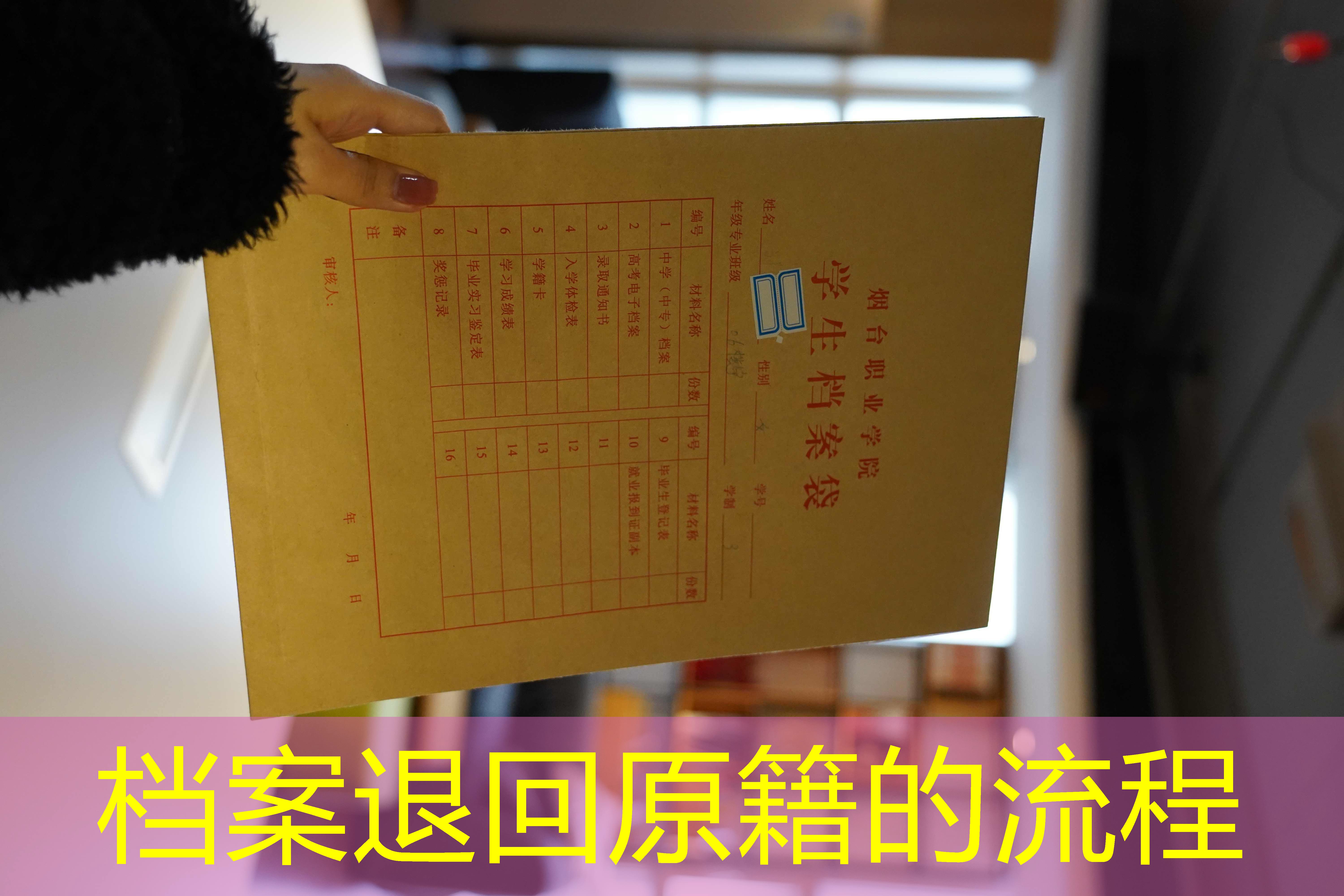档案查询