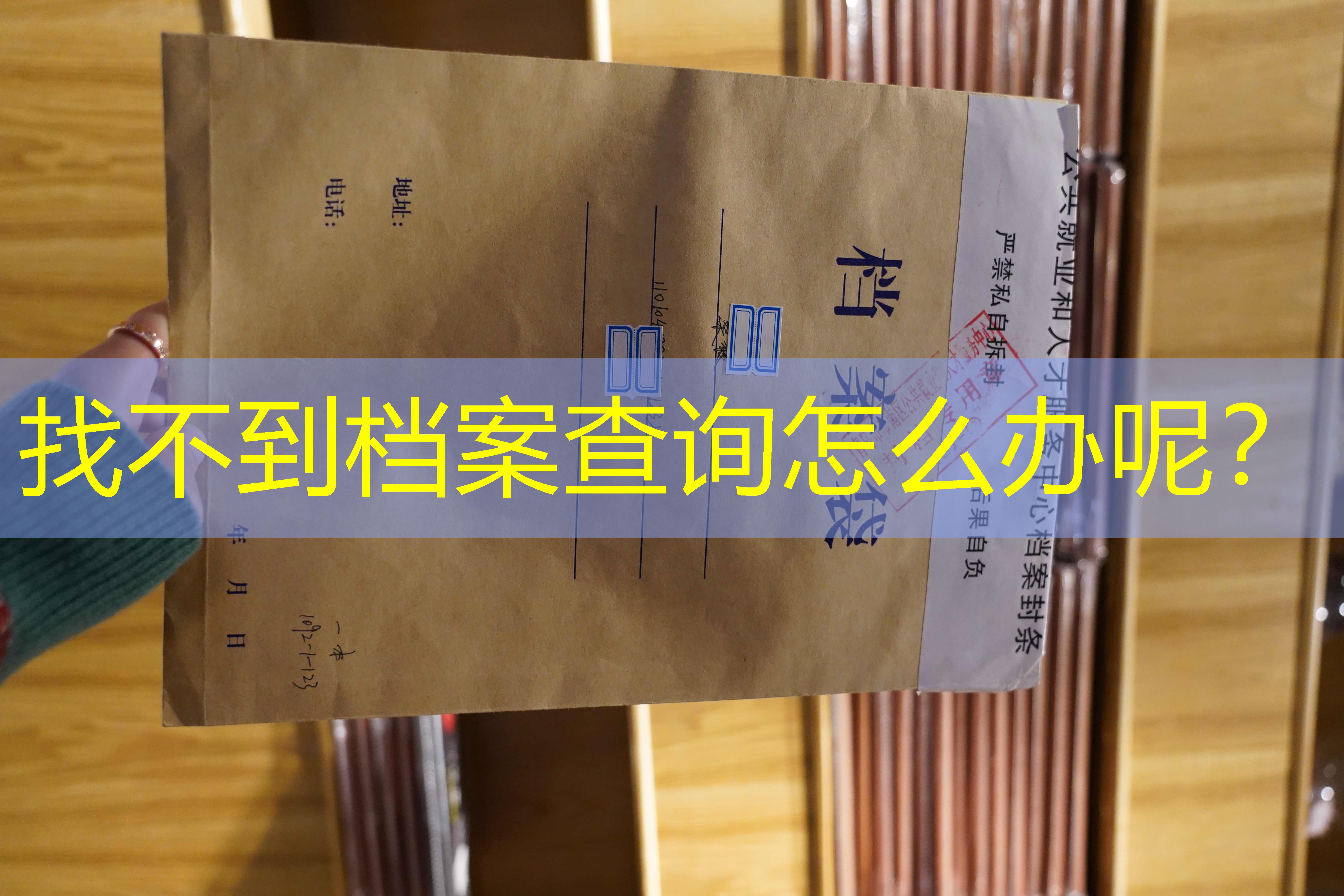 档案查询