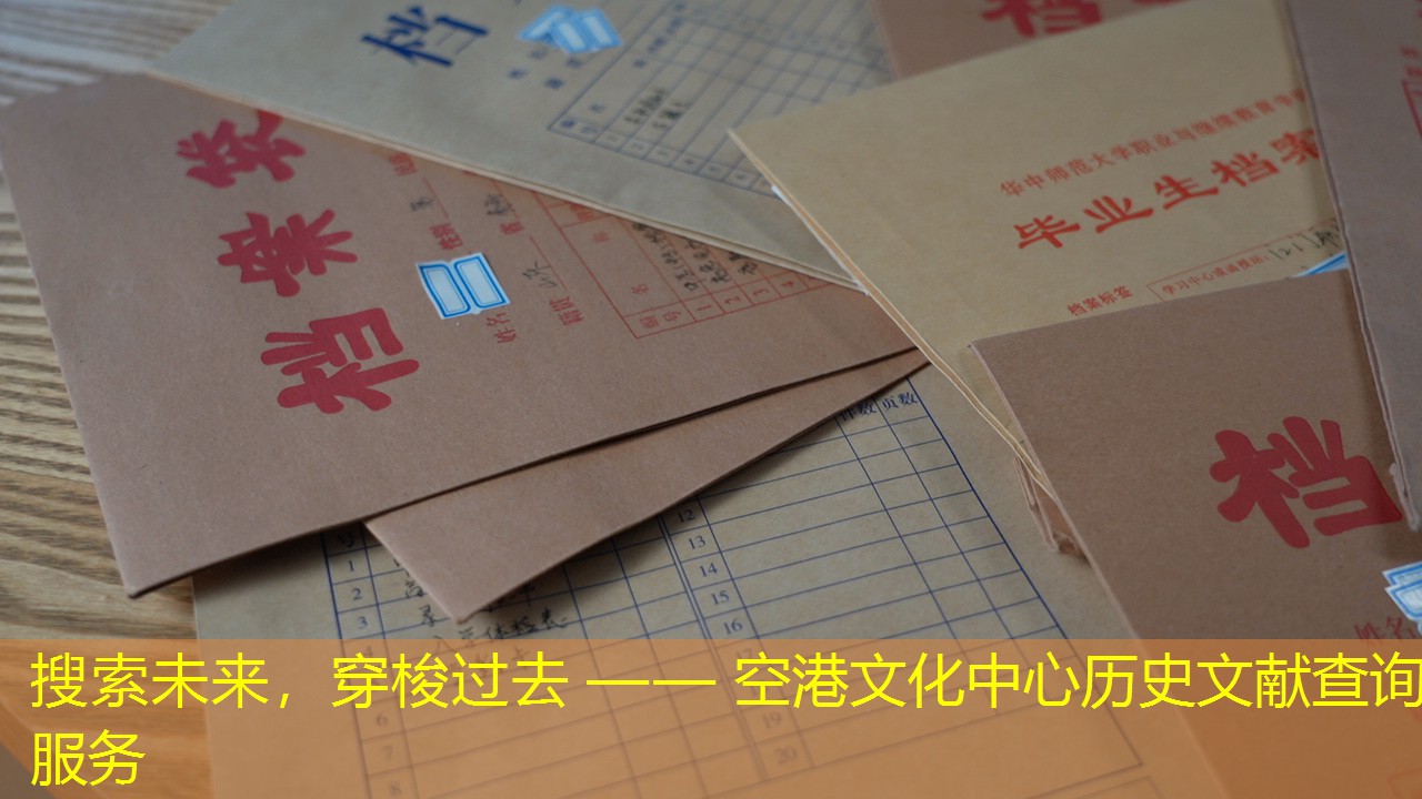 档案查询